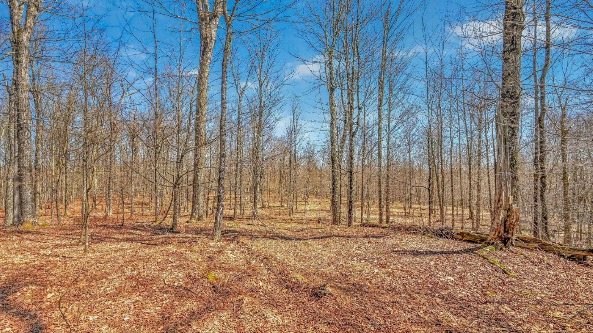 Property at L25 Parker Schoolhouse Rd, Davenport, NY 13750 9