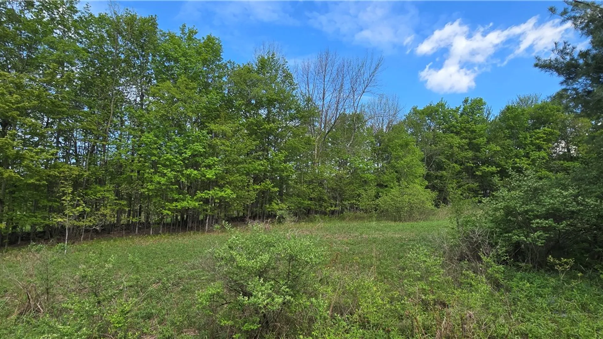 Property at Adams Hill Road, Stamford, NY 12167 6