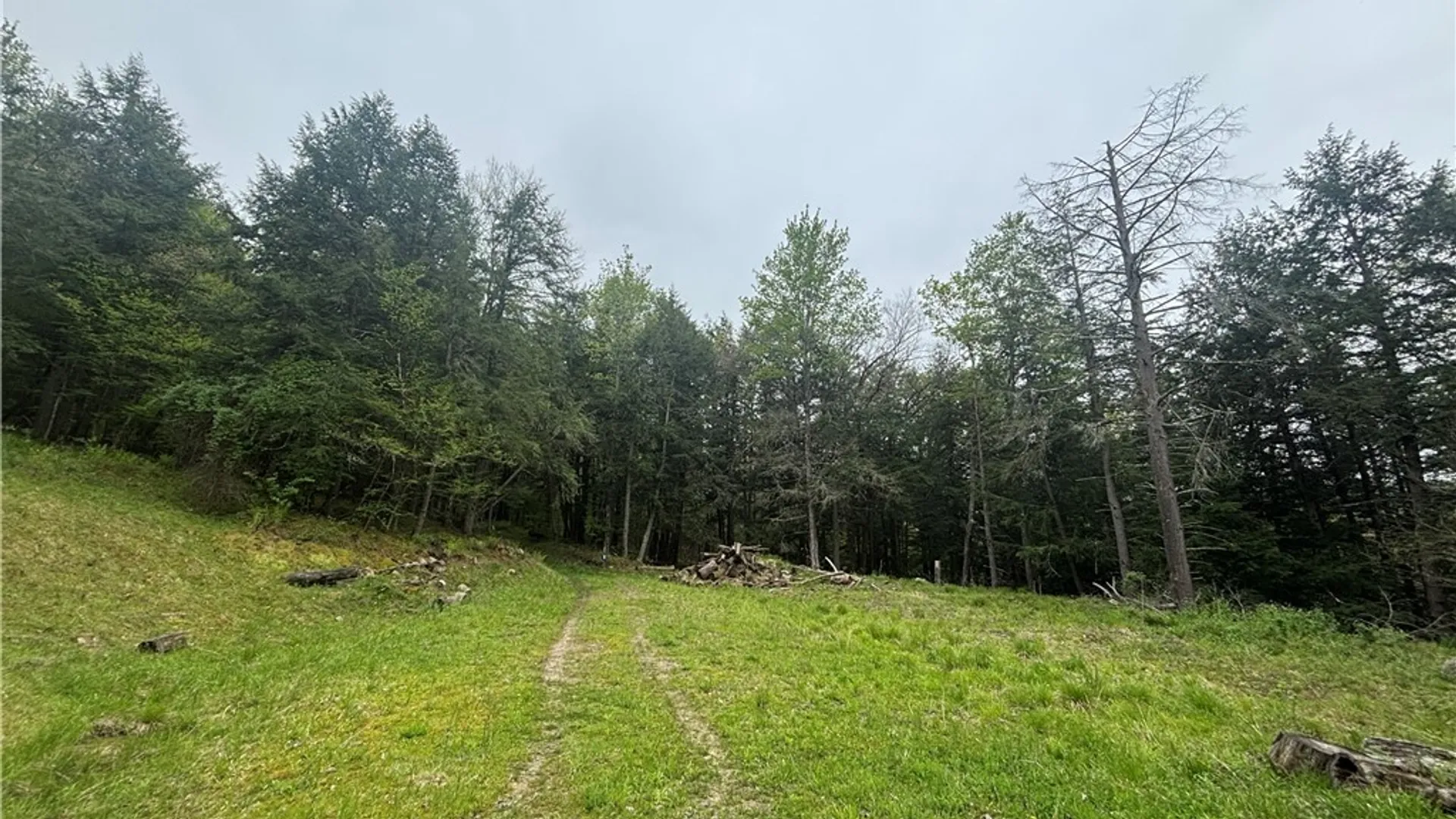 Property at Fulmer Valley Road, Wellsville, NY 14895 20
