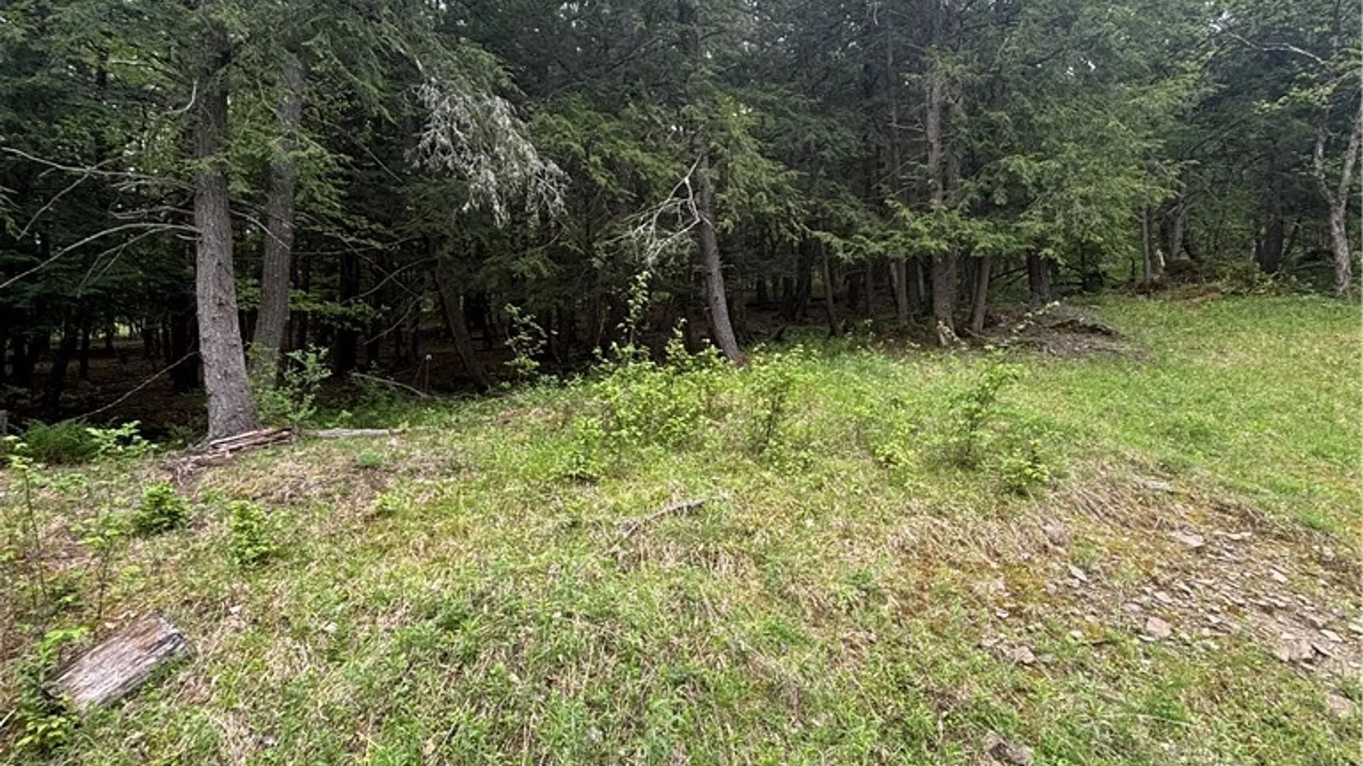 Property at Fulmer Valley Road, Wellsville, NY 14895 21