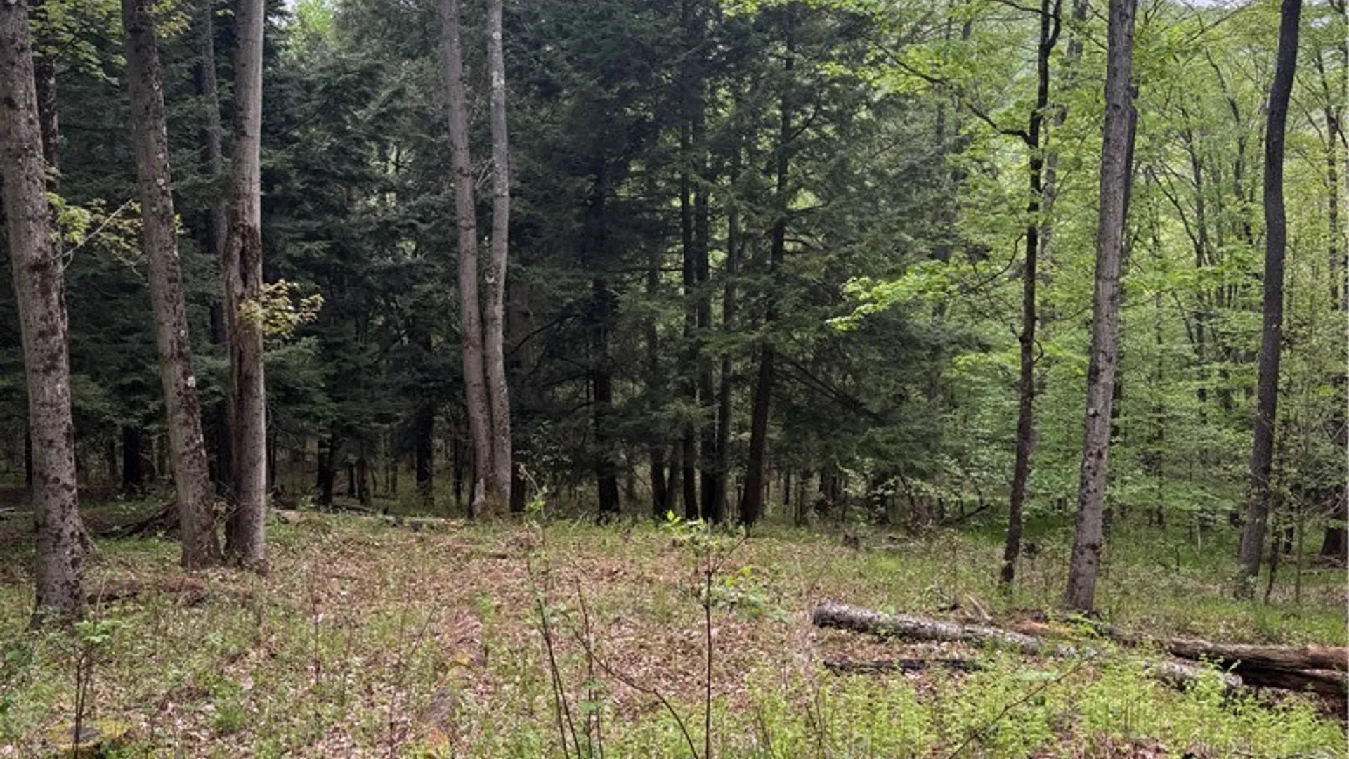 Property at Fulmer Valley Road, Wellsville, NY 14895 25