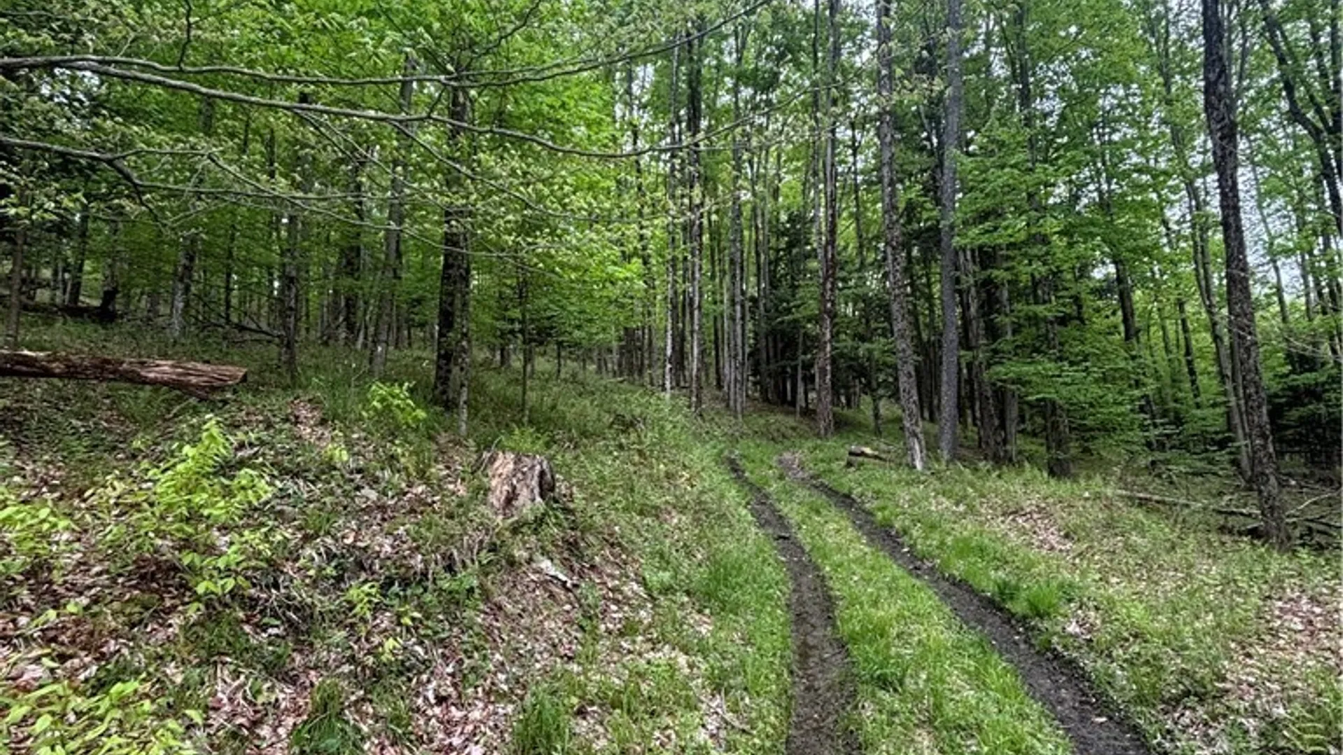 Property at Fulmer Valley Road, Wellsville, NY 14895 26