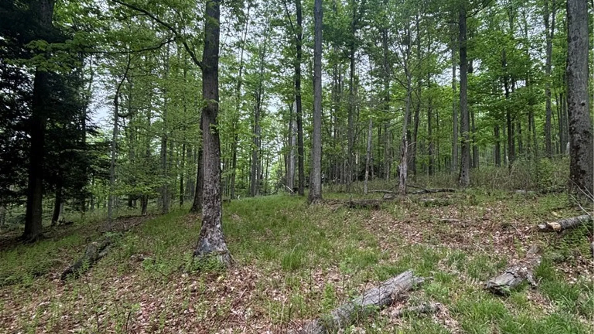 Property at Fulmer Valley Road, Wellsville, NY 14895 28