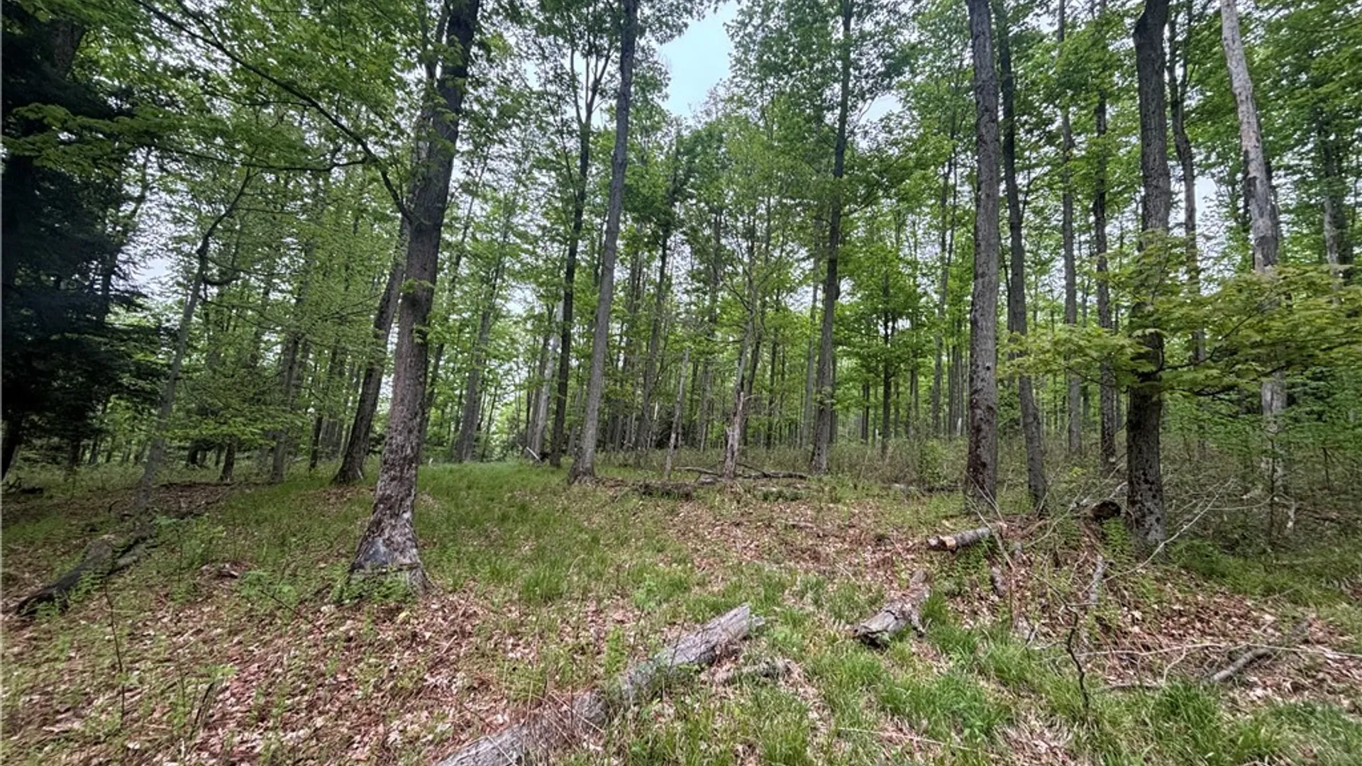 Property at Fulmer Valley Road, Wellsville, NY 14895 29