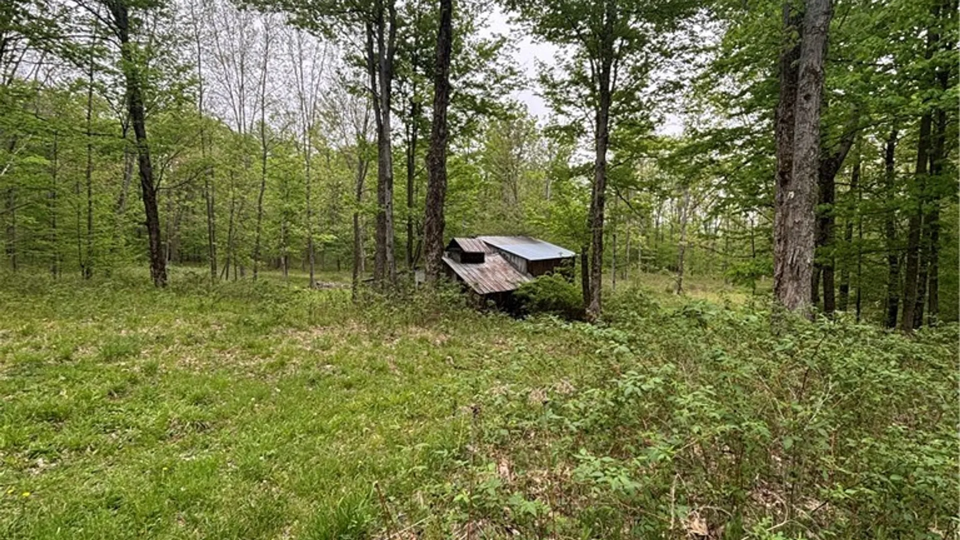 Property at Fulmer Valley Road, Wellsville, NY 14895 37