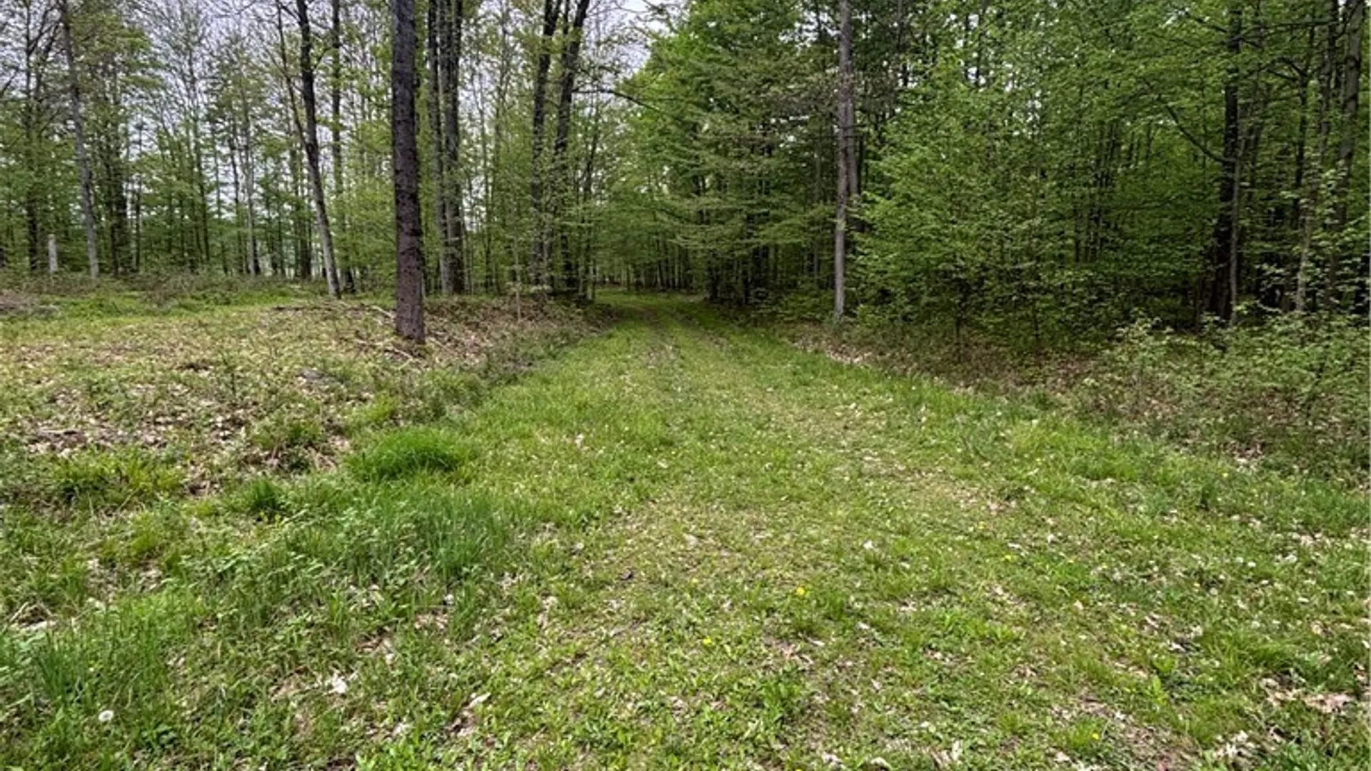 Property at Fulmer Valley Road, Wellsville, NY 14895 38