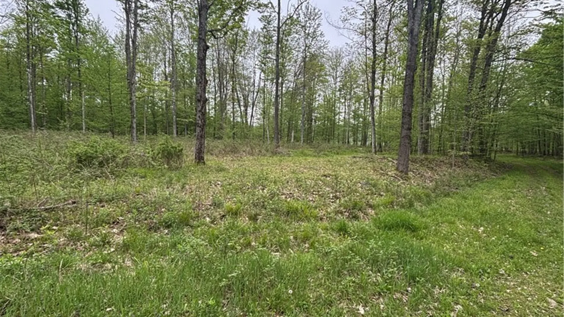 Property at Fulmer Valley Road, Wellsville, NY 14895 39