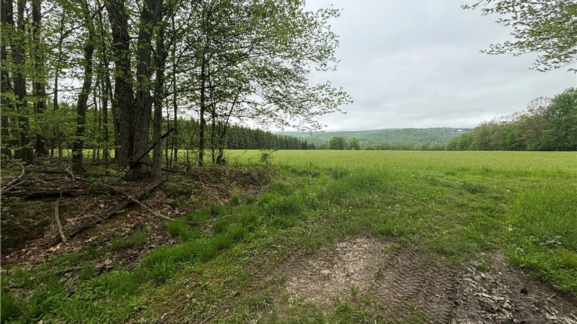Property at Fulmer Valley Road, Wellsville, NY 14895 40