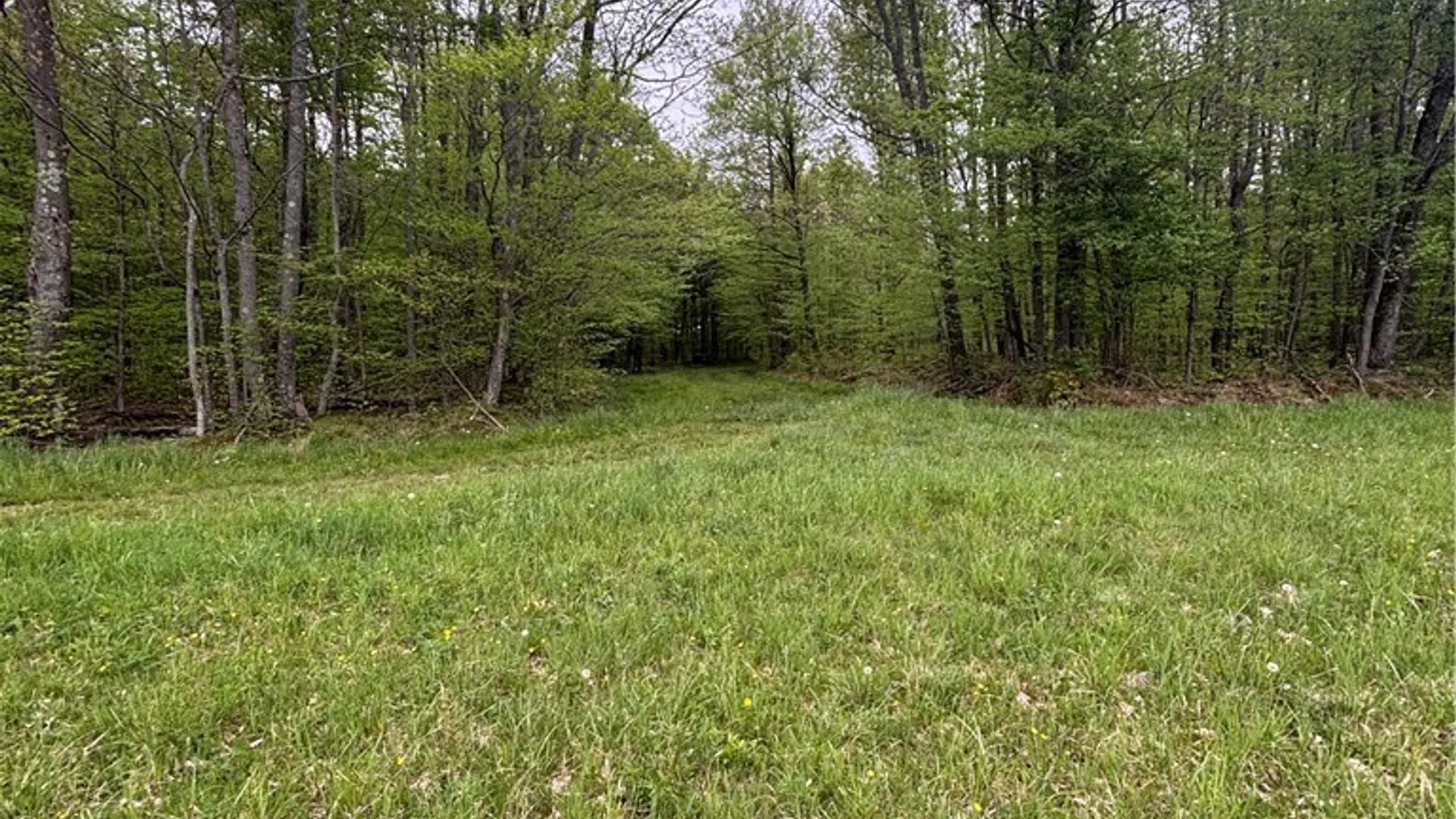 Property at Fulmer Valley Road, Wellsville, NY 14895 41