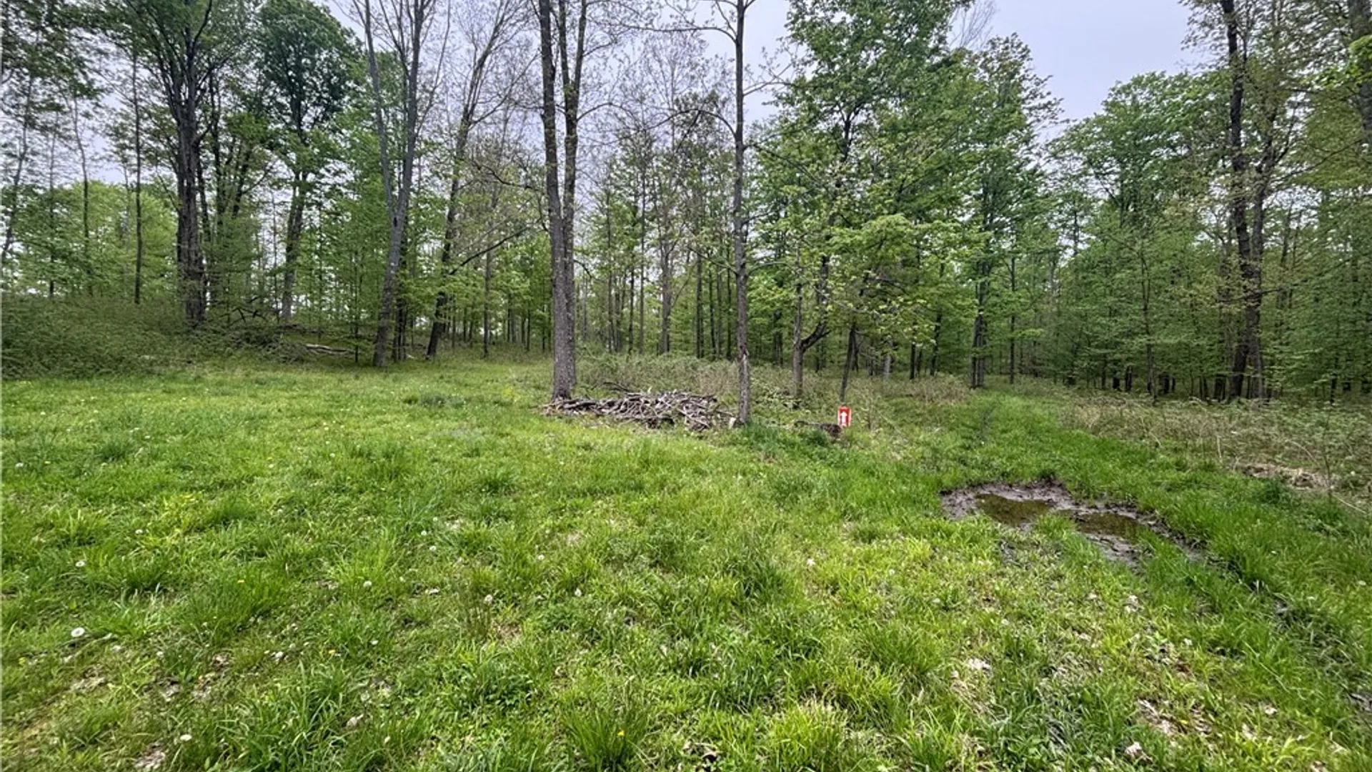 Property at Fulmer Valley Road, Wellsville, NY 14895 42