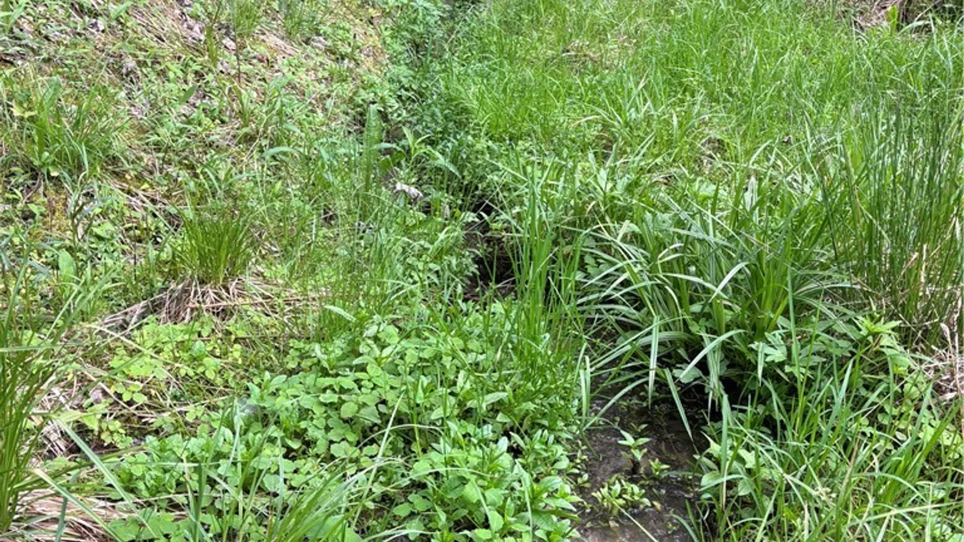 Property at Fulmer Valley Road, Wellsville, NY 14895 43