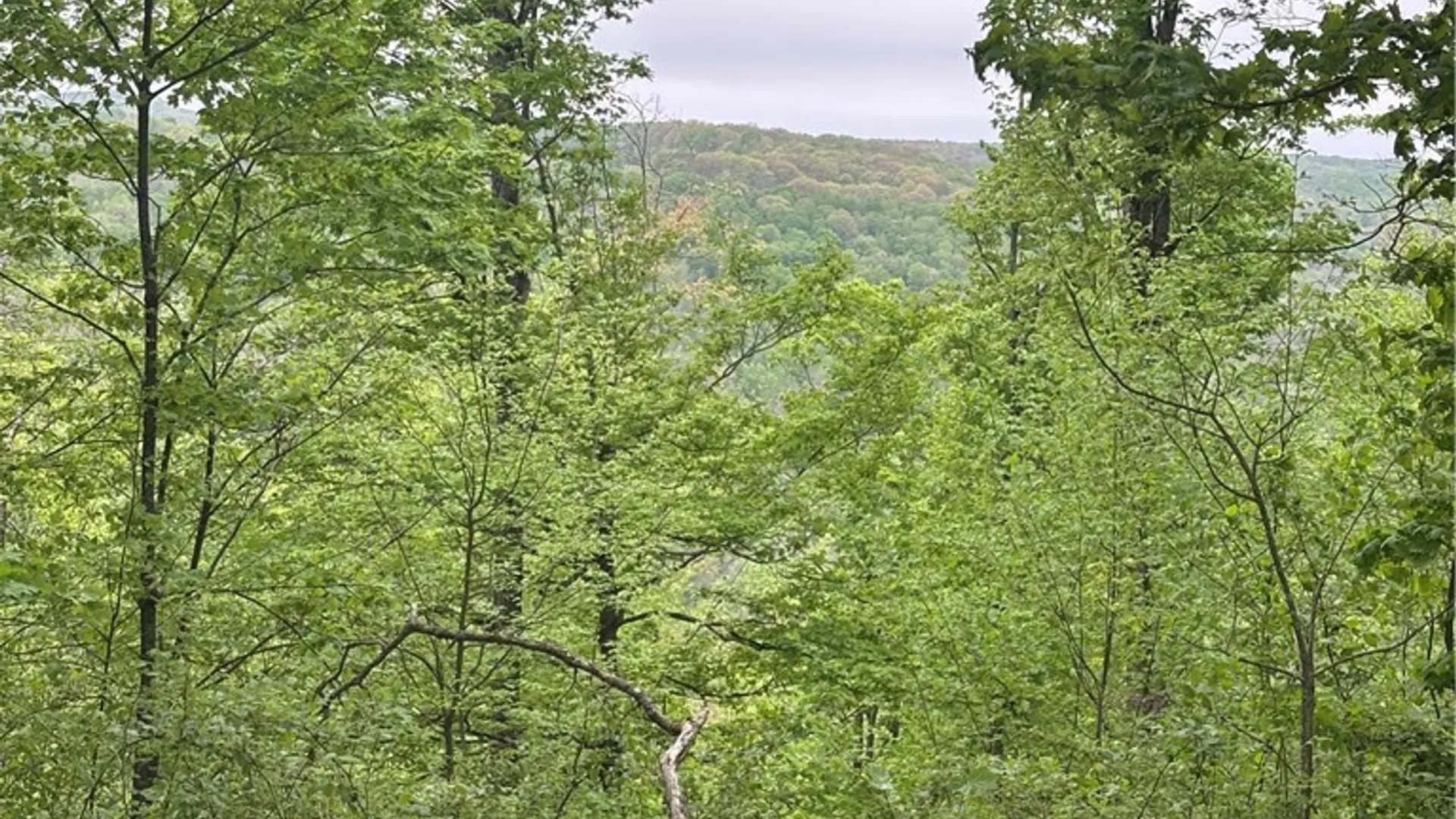 Property at Fulmer Valley Road, Wellsville, NY 14895 45