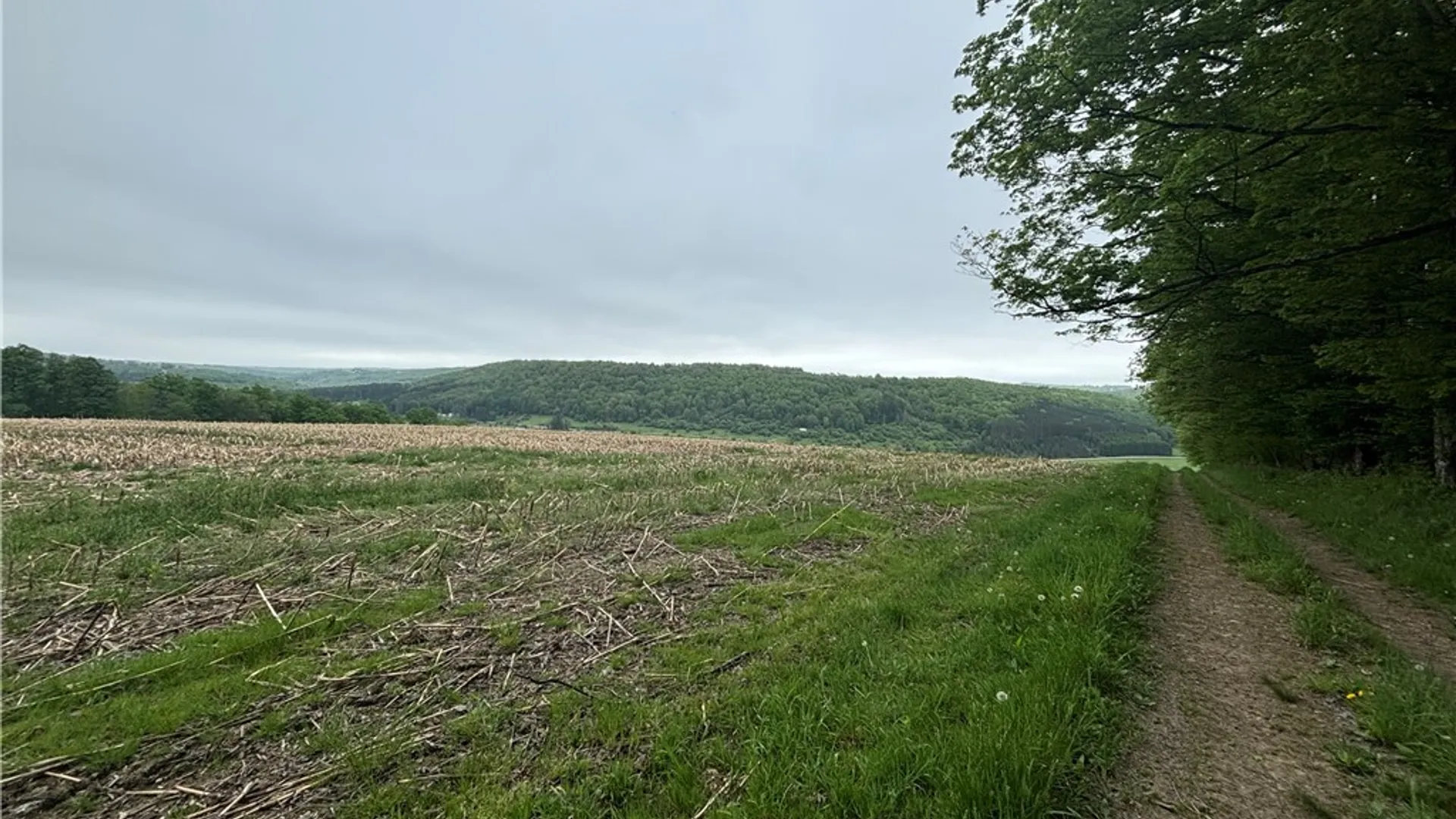 Property at Fulmer Valley Road, Wellsville, NY 14895 46