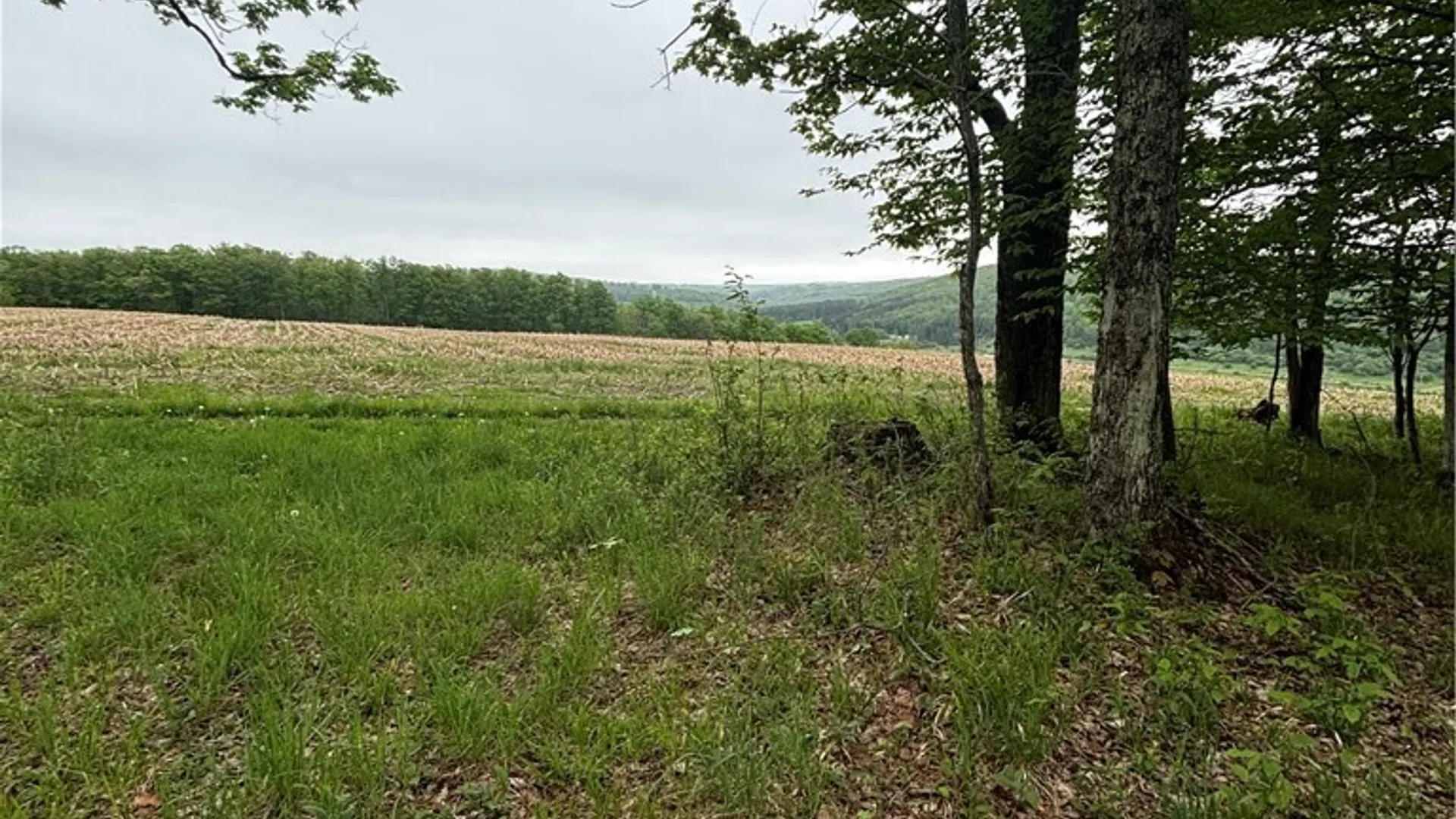Property at Fulmer Valley Road, Wellsville, NY 14895 47