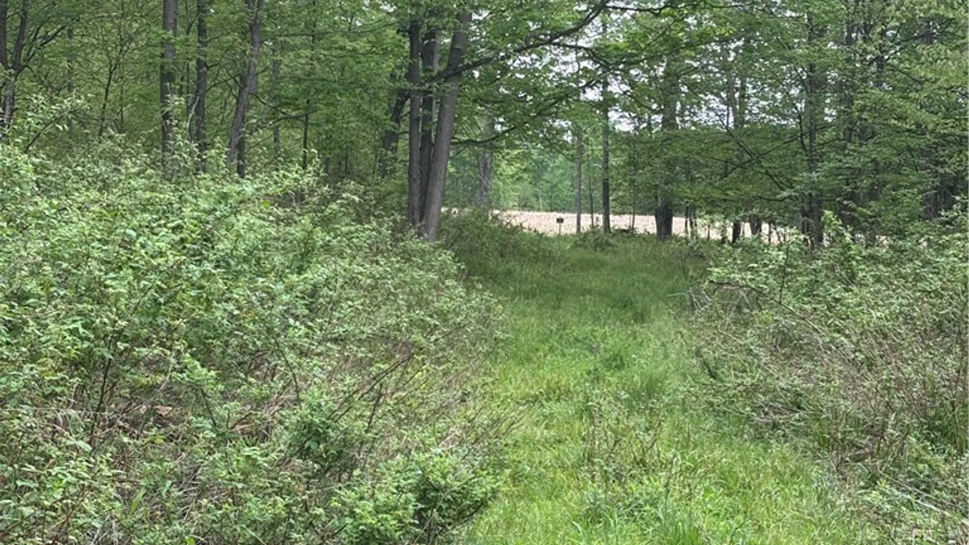 Property at Fulmer Valley Road, Wellsville, NY 14895 48