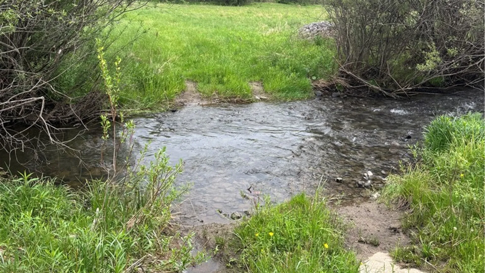Property at Fulmer Valley Road, Wellsville, NY 14895 6