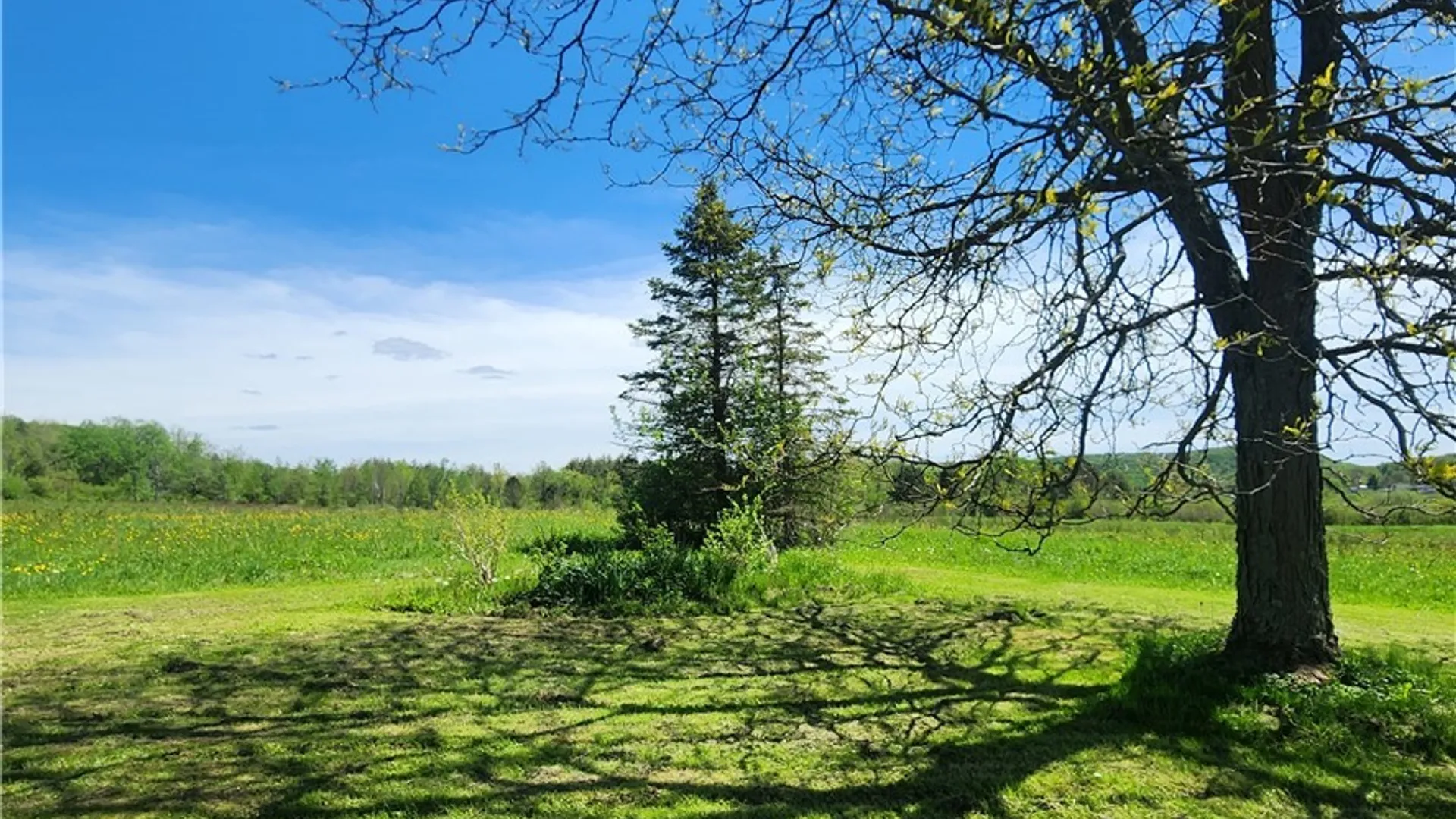 Property at 5467 Twichell Road, Ashford, NY 14171 29