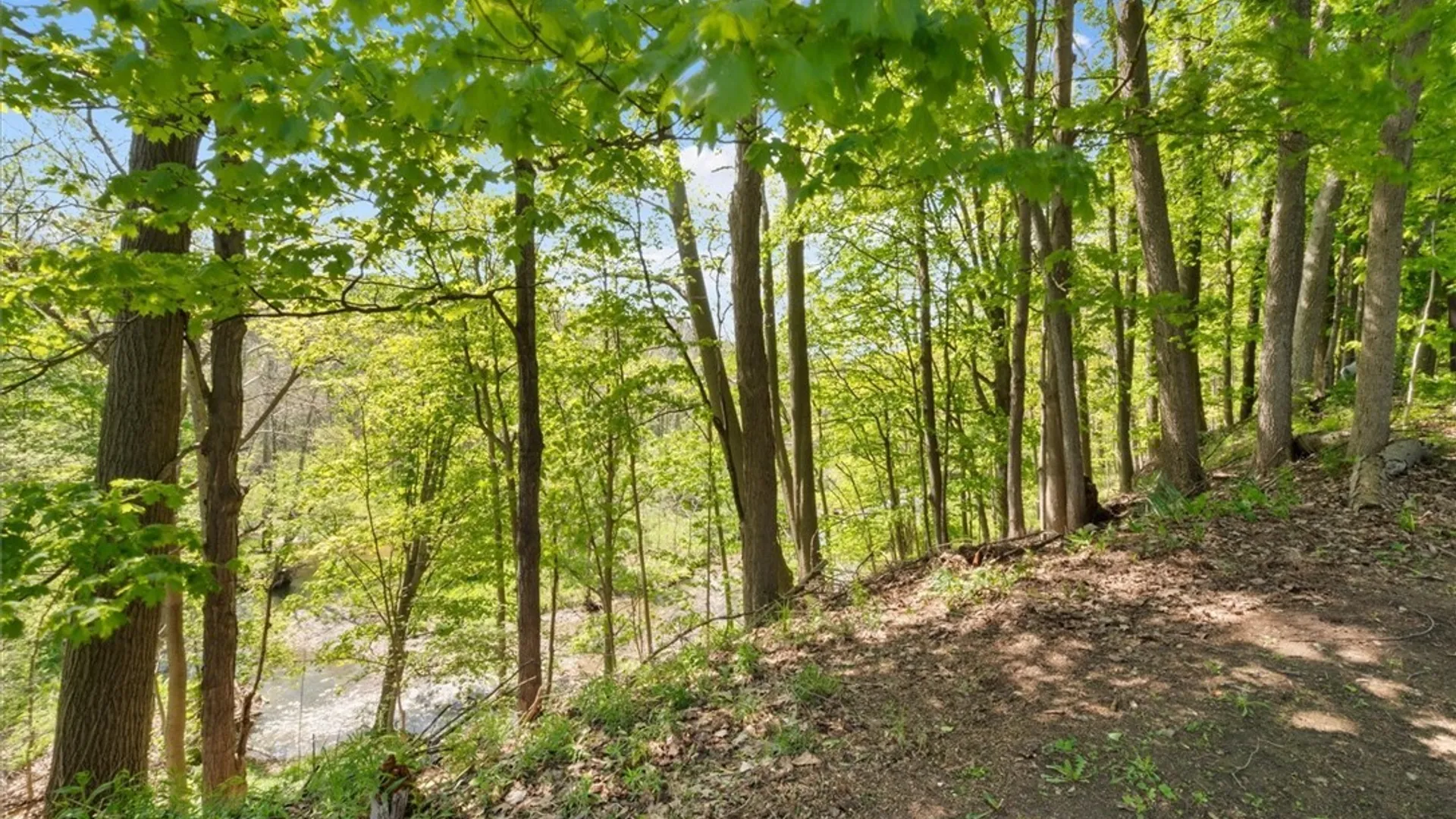 Property at 23 Jarvis Dr, Manlius, NY 13104 39