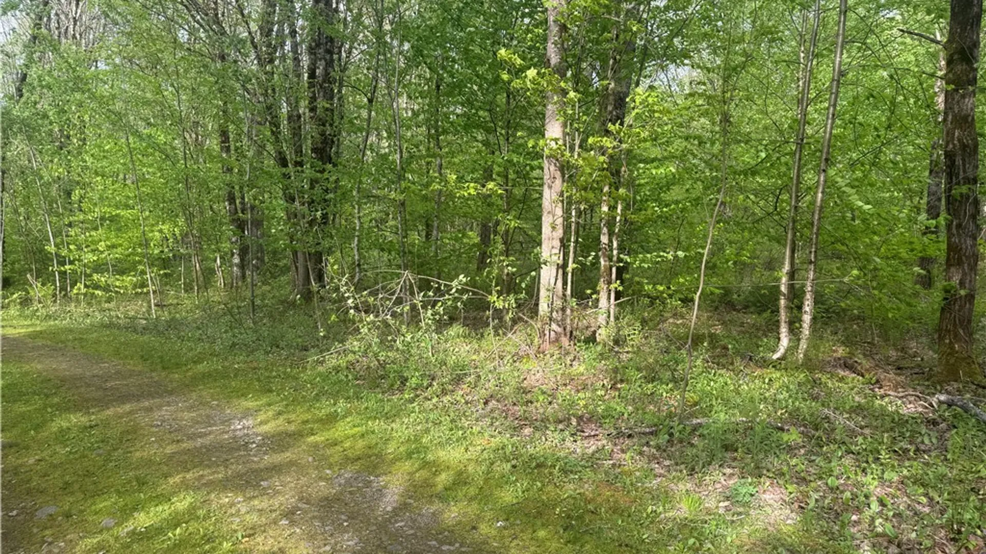 Property at Lot #9 Lost Ridge Road, Florence, NY 13316 10