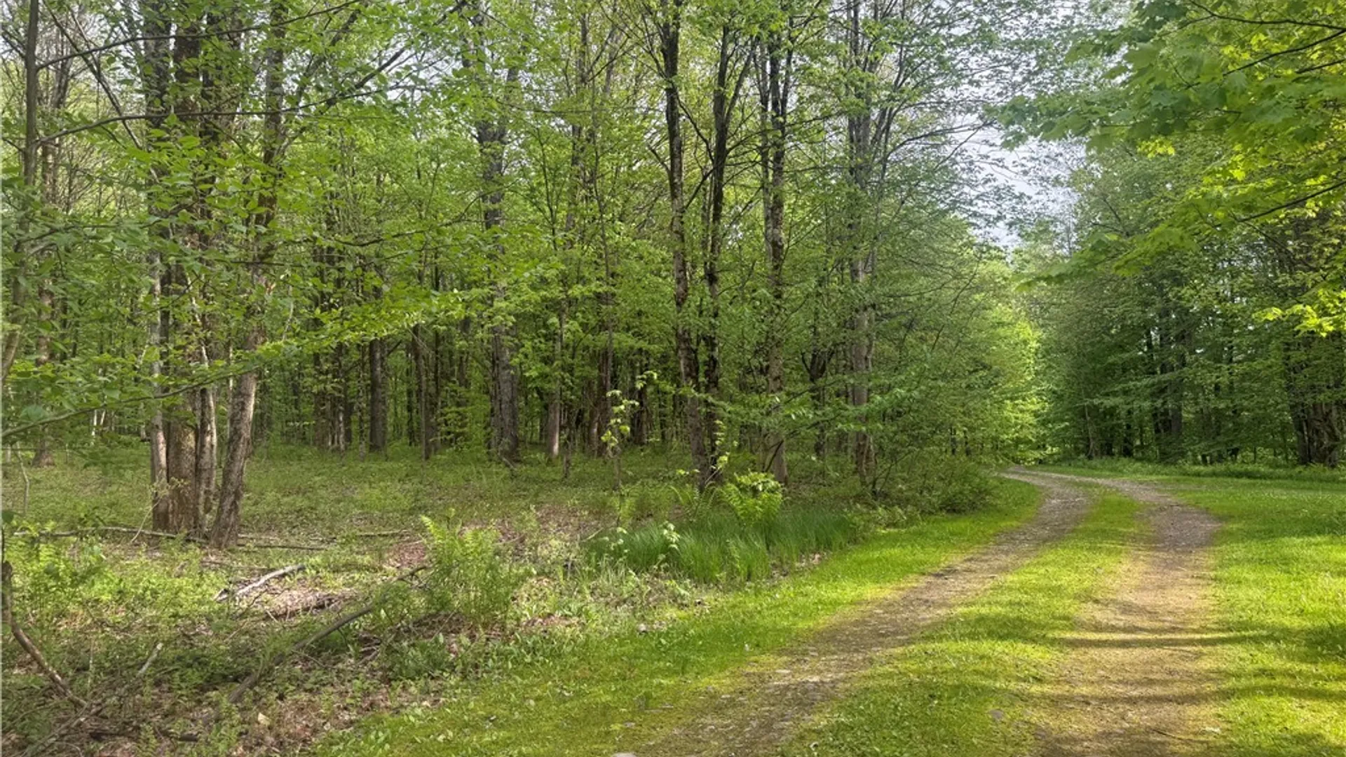Property at Lot #9 Lost Ridge Road, Florence, NY 13316 11