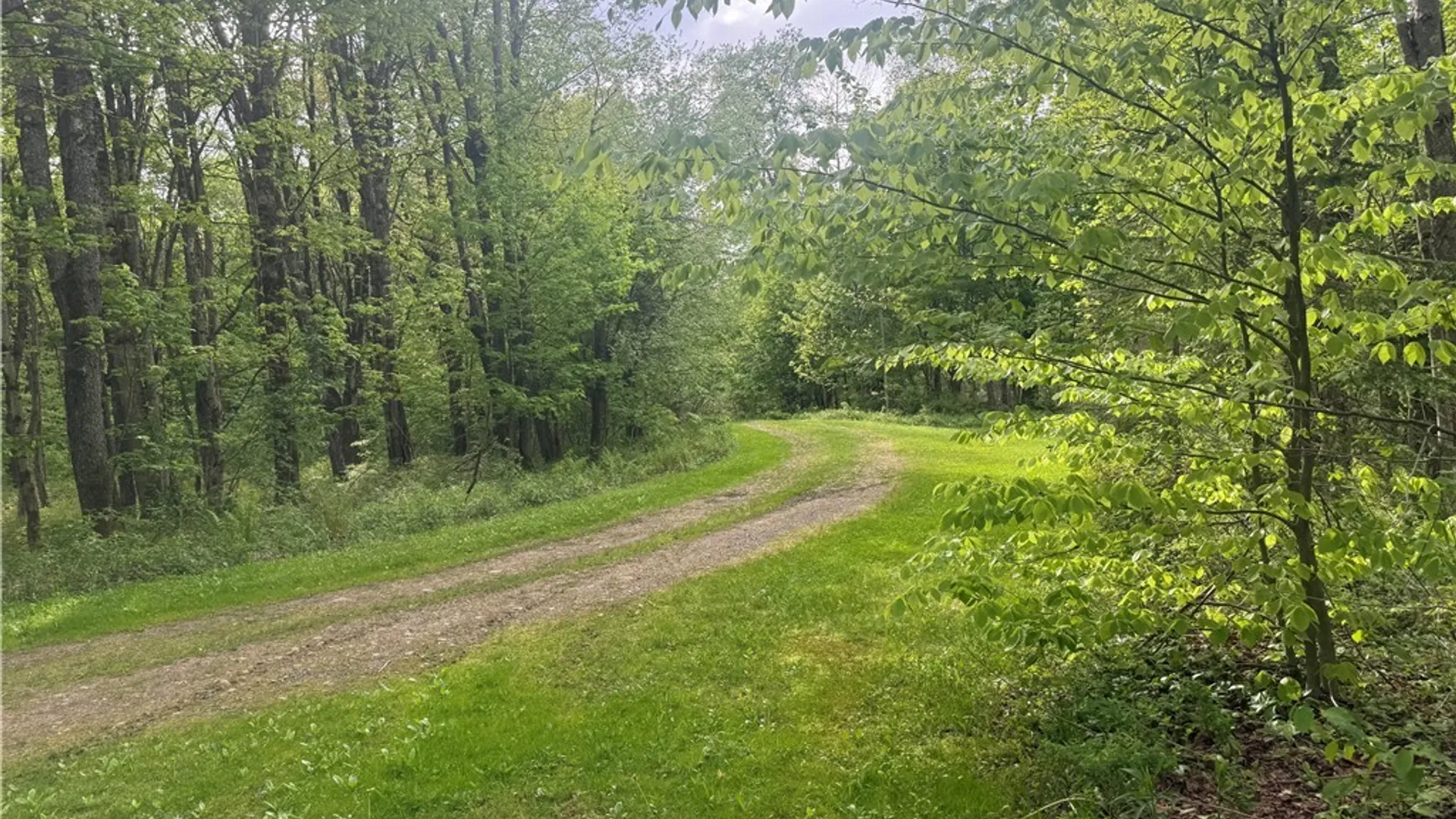 Property at Lot #9 Lost Ridge Road, Florence, NY 13316 12