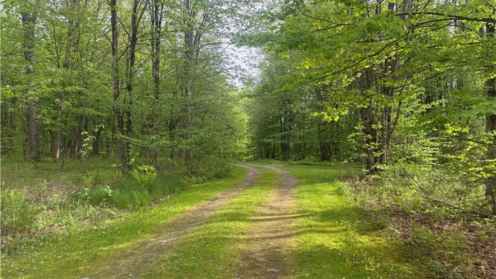 Property at Lot #9 Lost Ridge Road, Florence, NY 13316 14