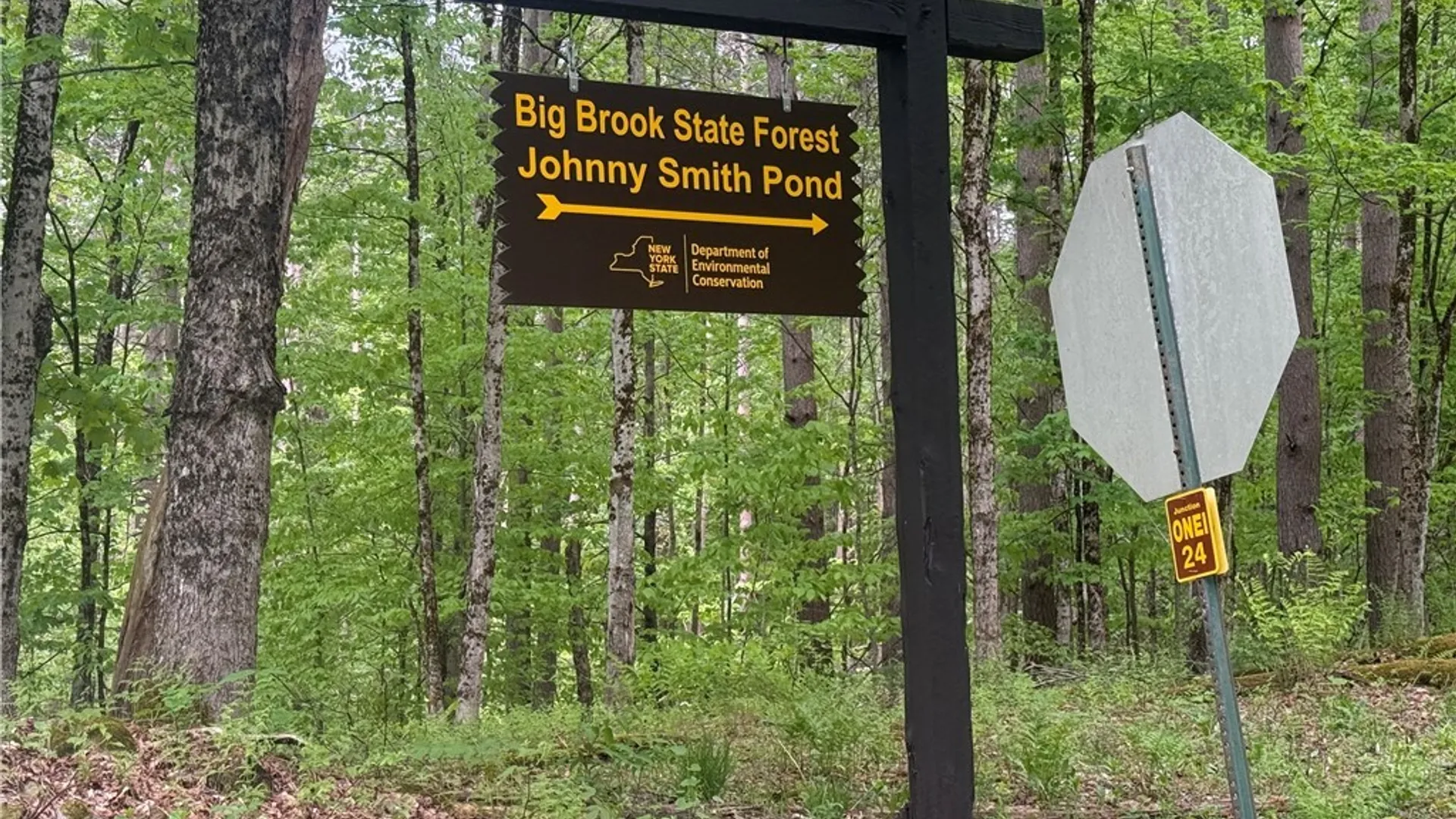 Property at Lot #9 Lost Ridge Road, Florence, NY 13316 17