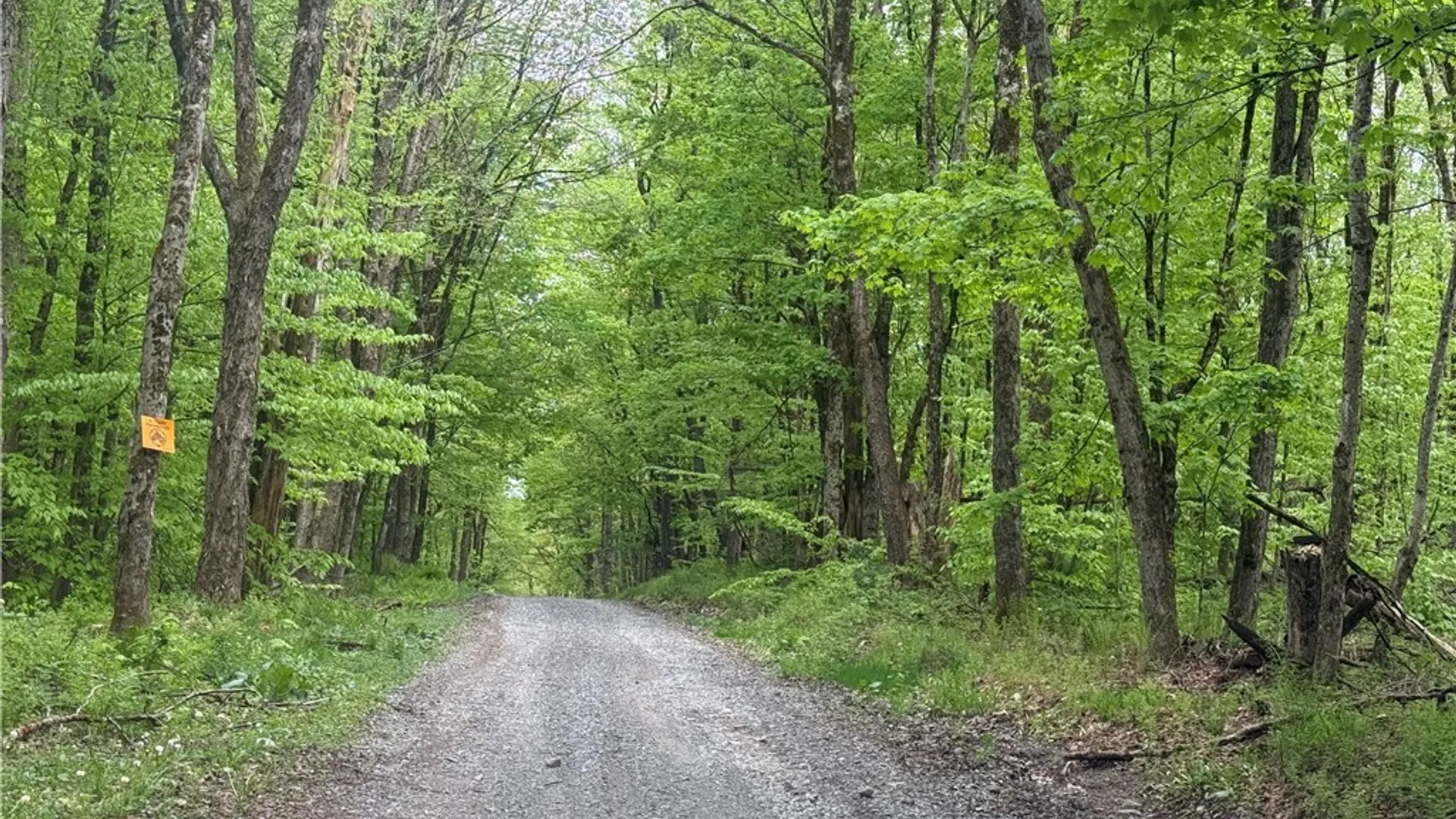 Property at Lot #9 Lost Ridge Road, Florence, NY 13316 18