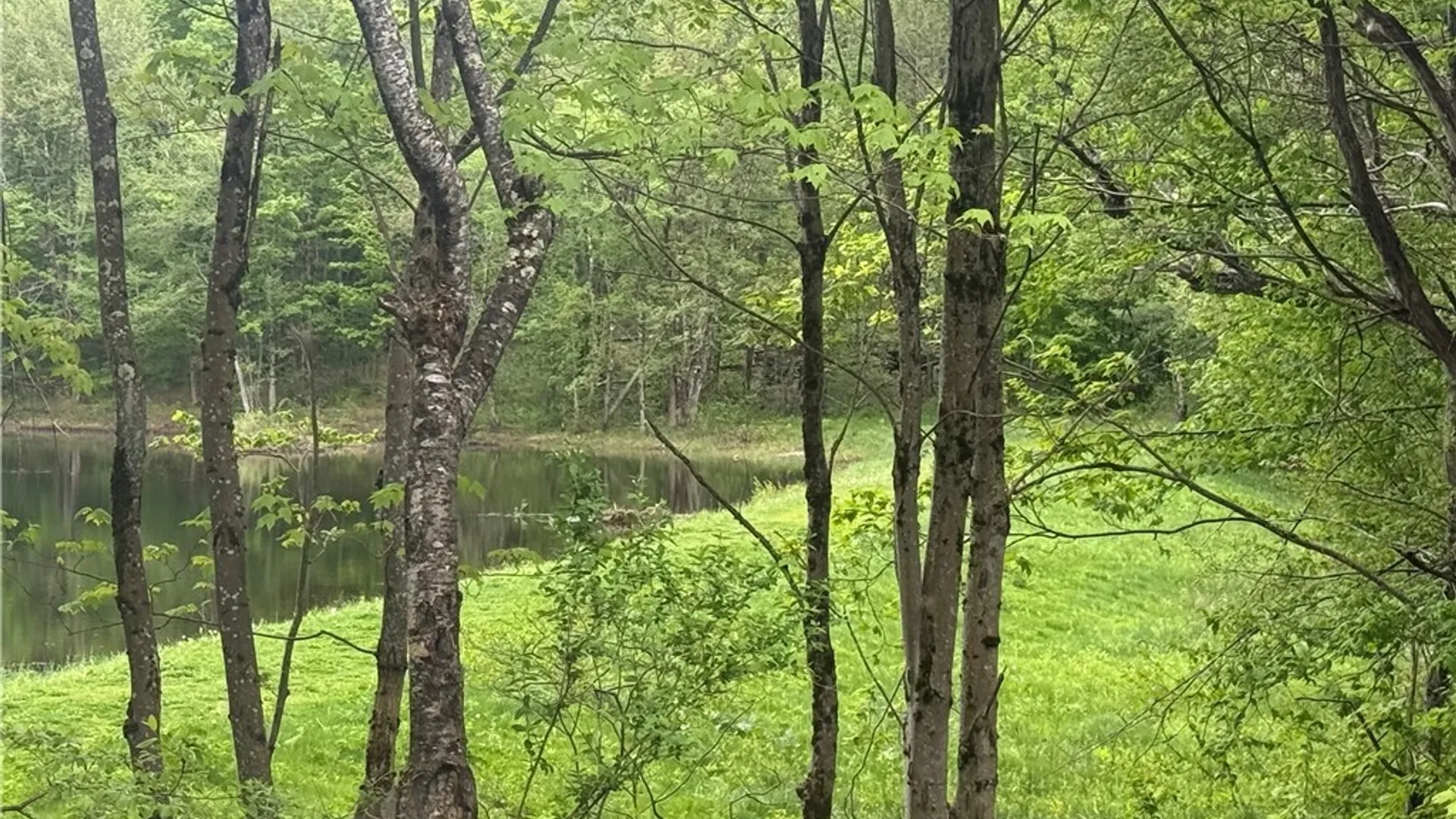 Property at Lot #9 Lost Ridge Road, Florence, NY 13316 19