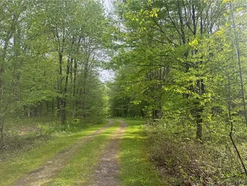 Property at Lot #9 Lost Ridge Road, Florence, NY 13316