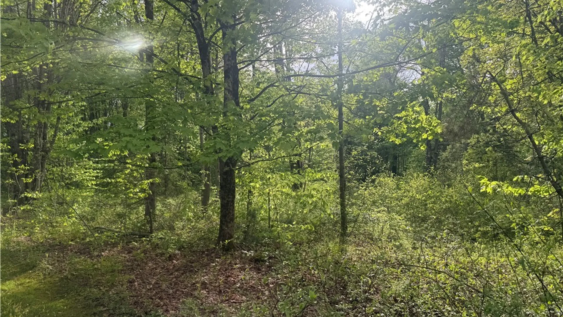 Property at Lot #9 Lost Ridge Road, Florence, NY 13316 2