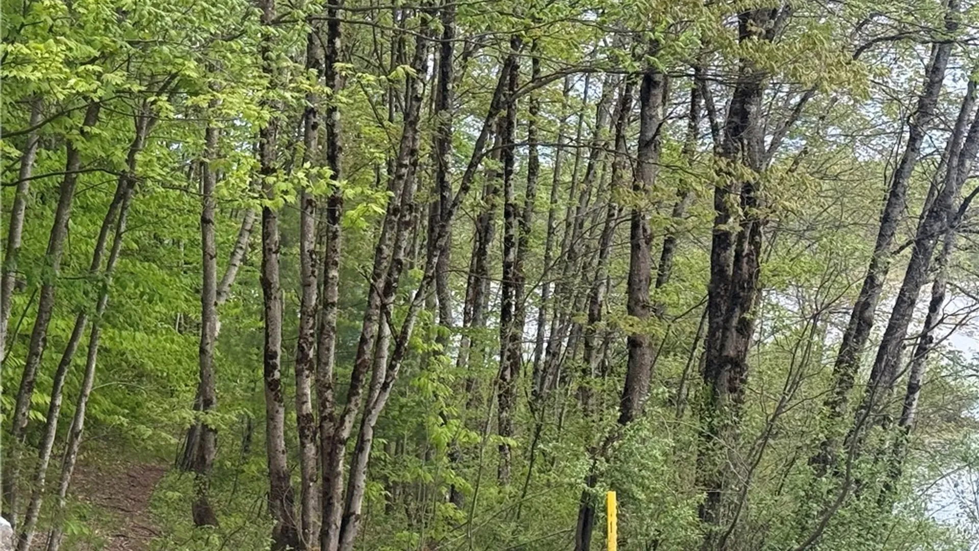 Property at Lot #9 Lost Ridge Road, Florence, NY 13316 24