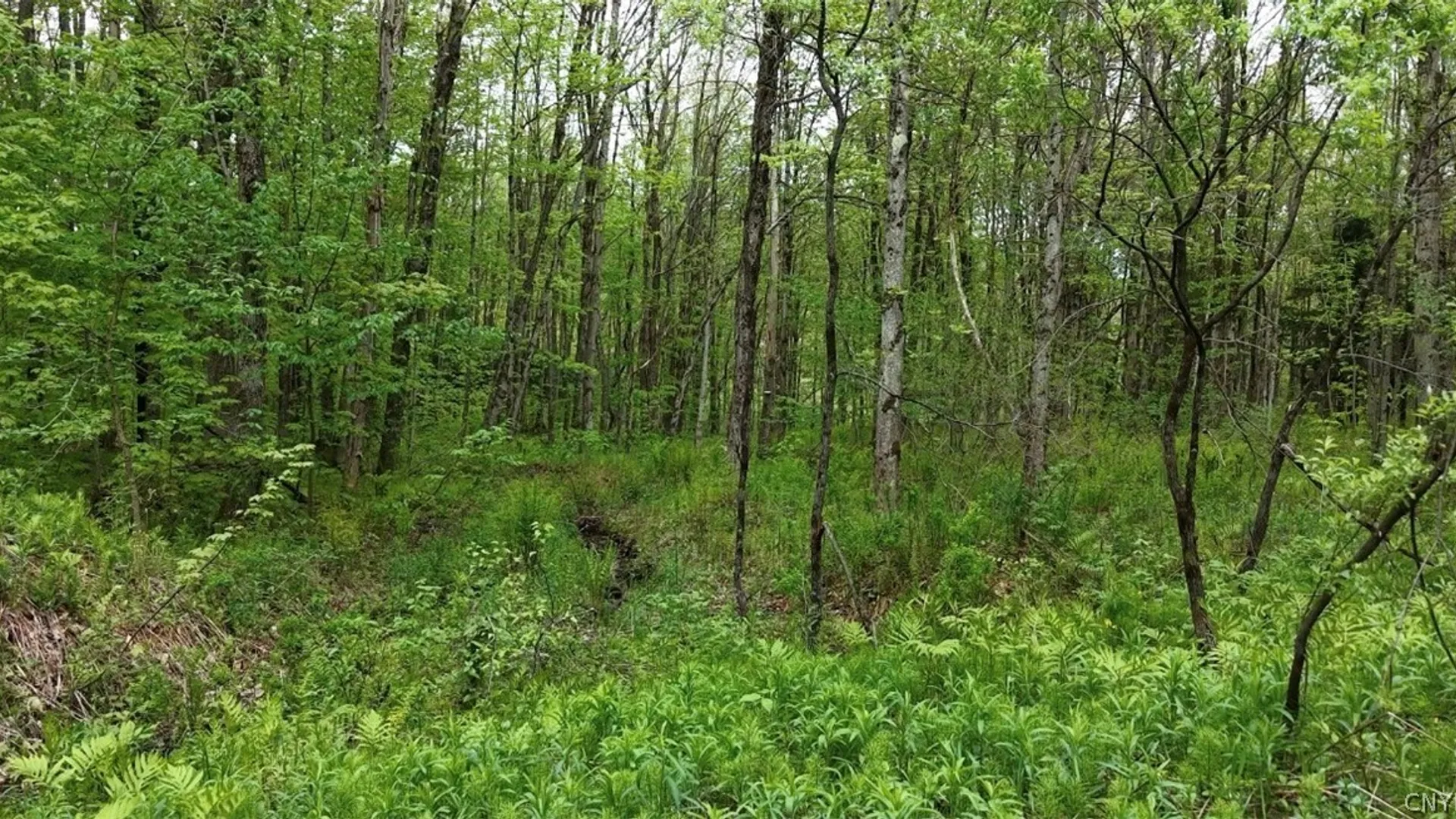 Property at Lot #9 Lost Ridge Road, Florence, NY 13316 27