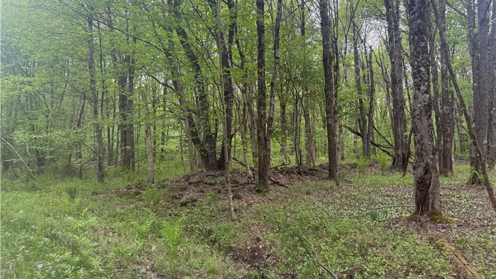 Property at Lot #9 Lost Ridge Road, Florence, NY 13316 3