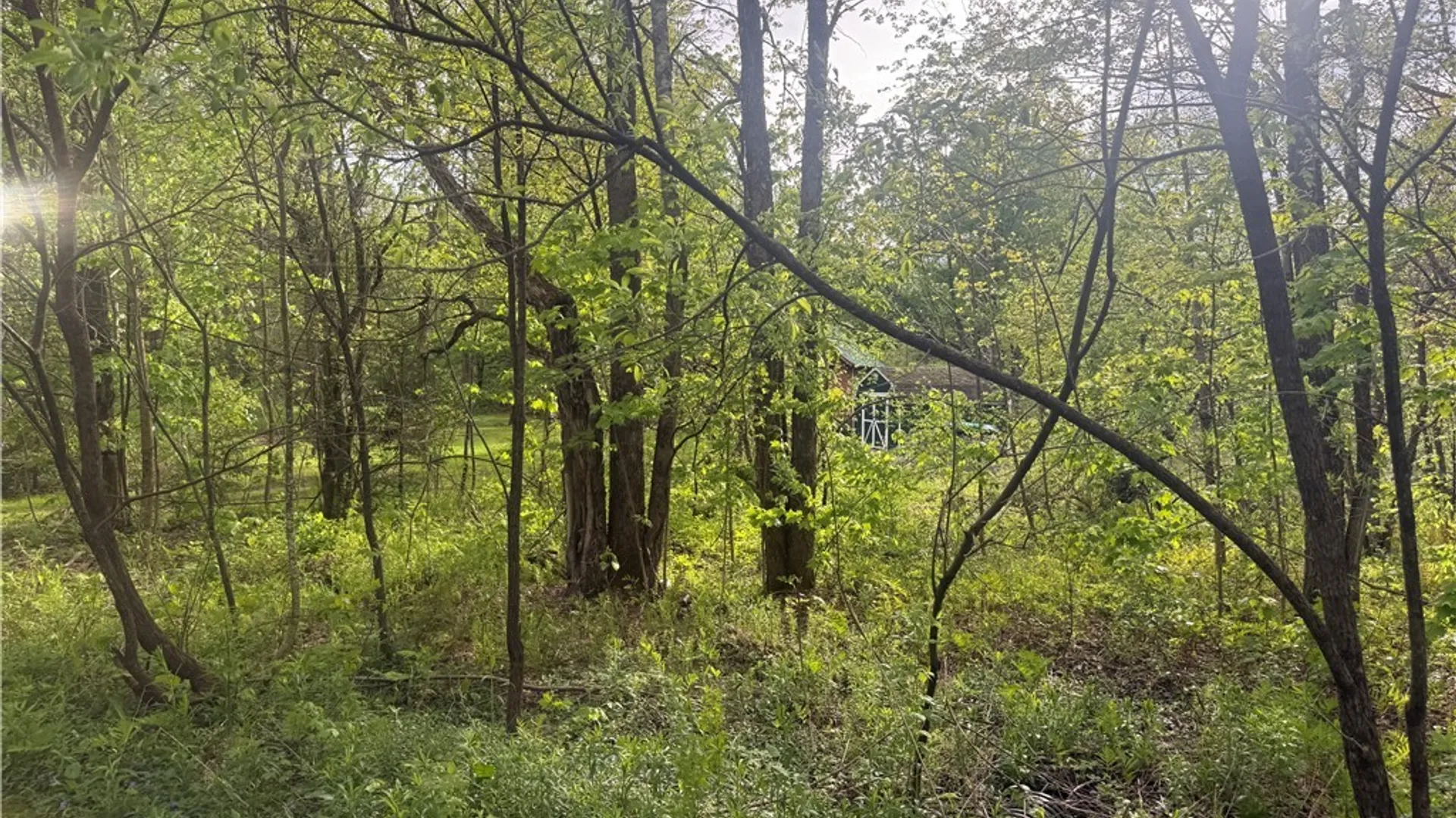 Property at Lot #9 Lost Ridge Road, Florence, NY 13316 5