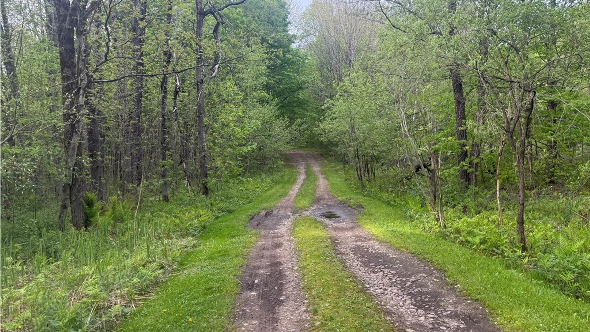 Property at Lot #9 Lost Ridge Road, Florence, NY 13316 6