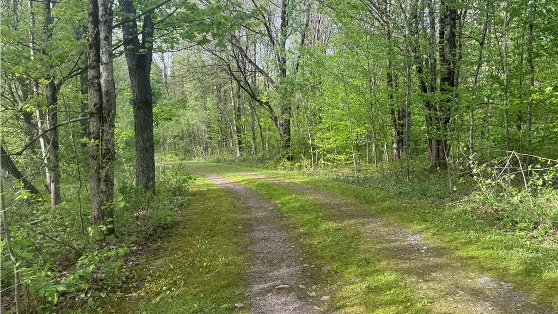 Property at Lot #9 Lost Ridge Road, Florence, NY 13316 7