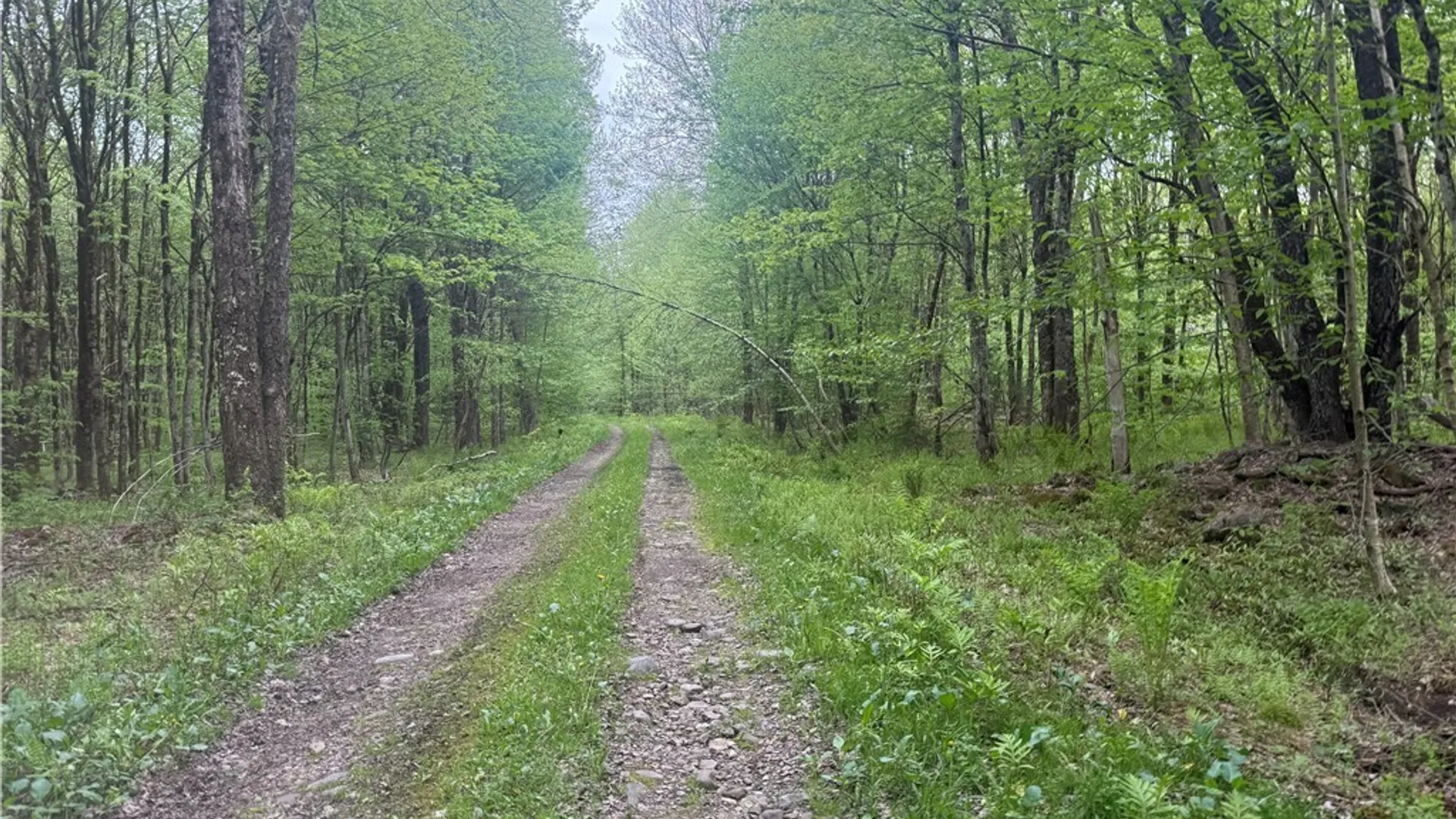 Property at Lot #9 Lost Ridge Road, Florence, NY 13316 8