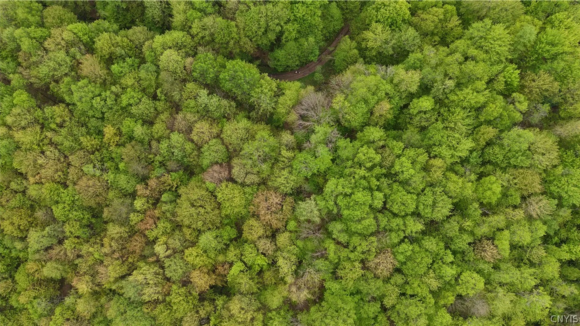 Property at Lot #9 Lost Ridge Road, Florence, NY 13316 9