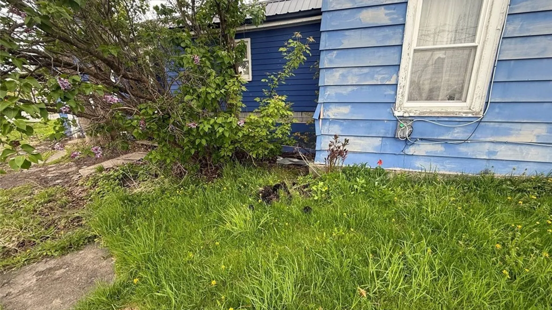 Property at 206 N Meadow Street, Watertown City, NY 13601 20