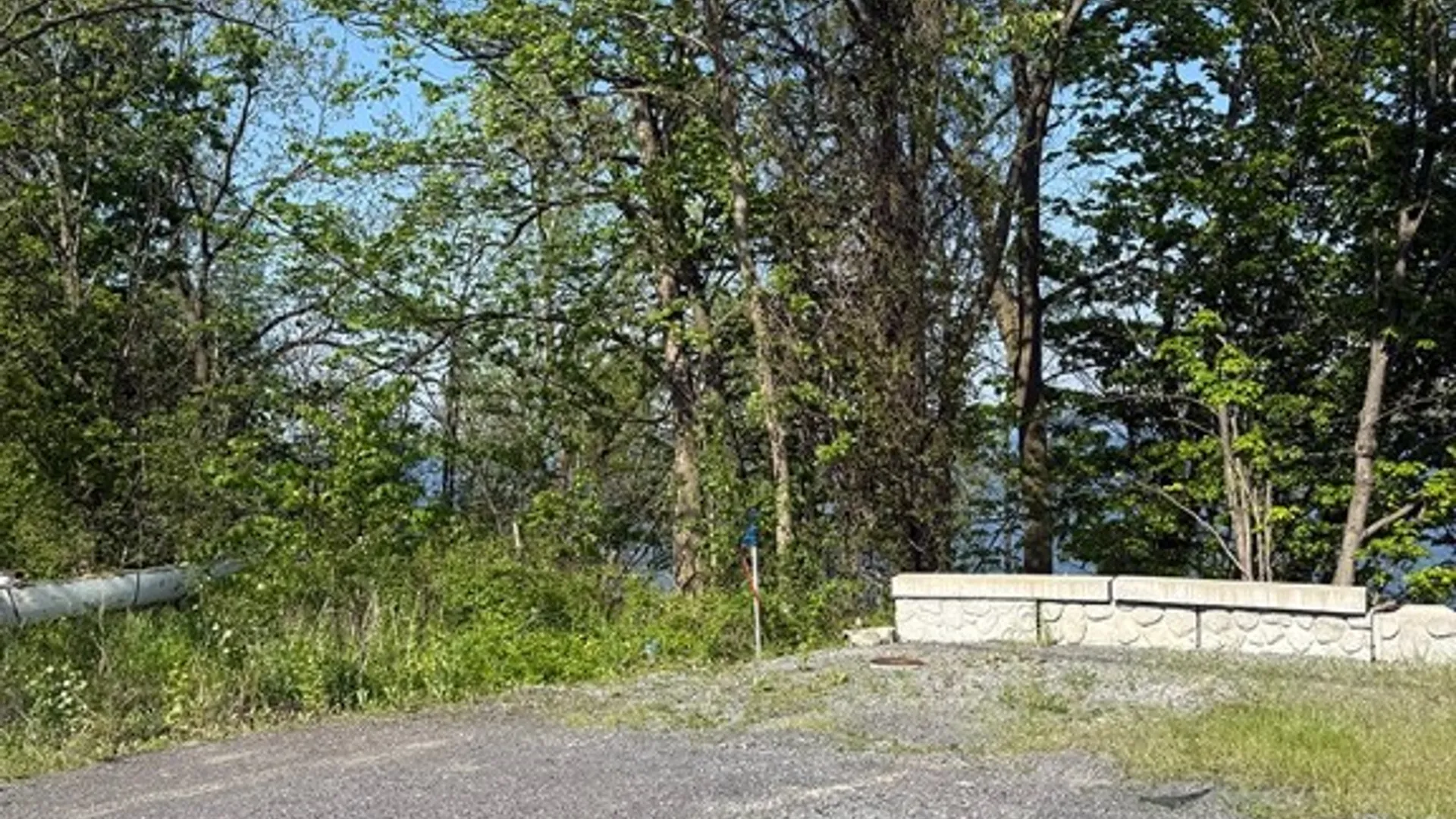 Property at 5509 Route 89, Varick, NY 14521 6