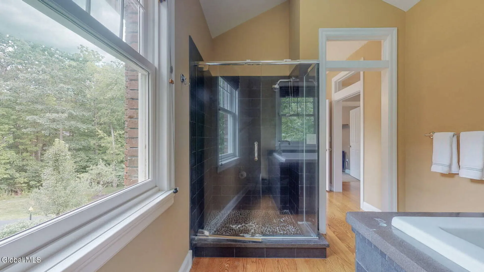 Property at 9 Stable Lane, Saratoga Springs, NY 12866 36