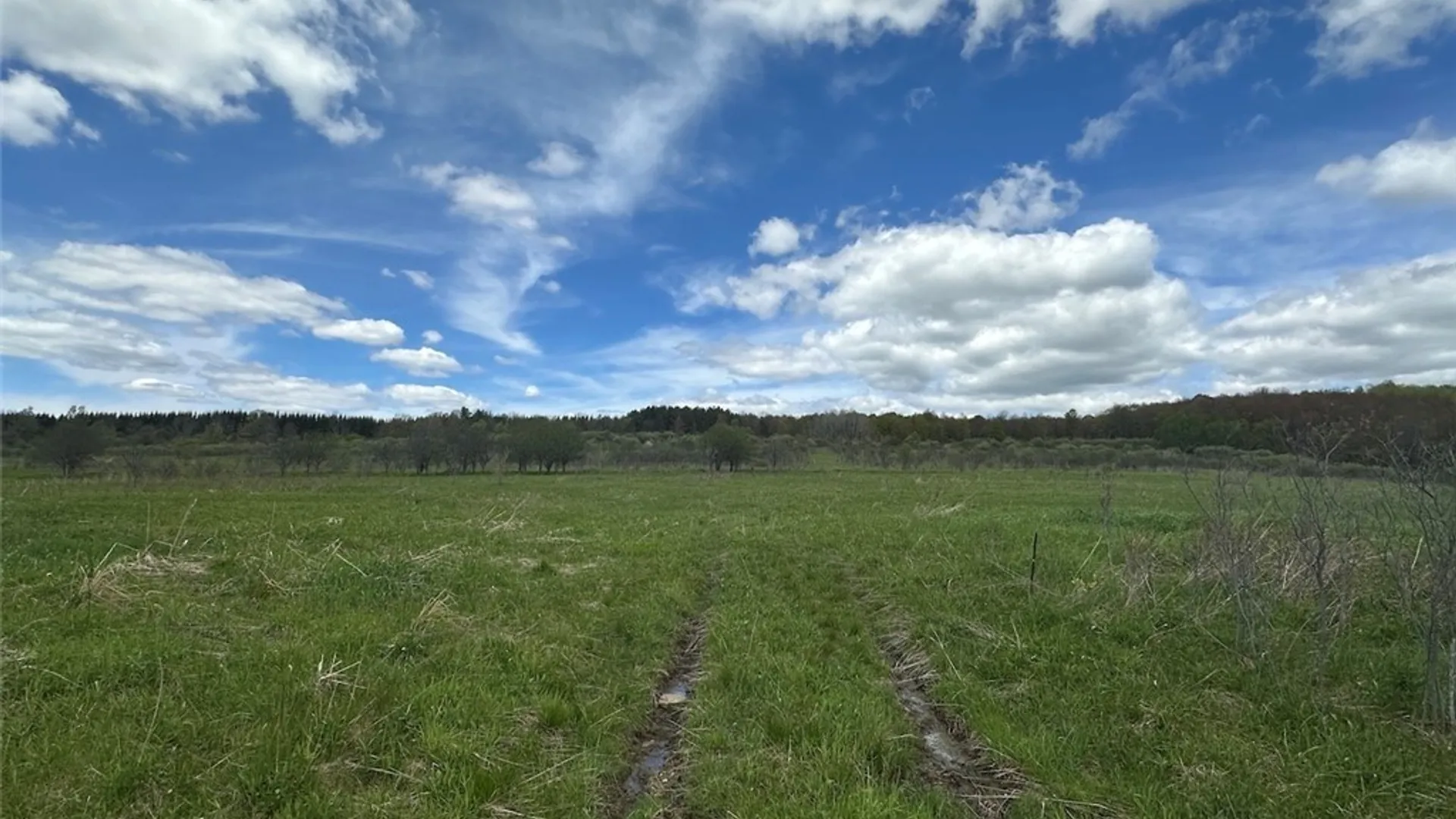 Property at Shaffer Road, Cuba, NY 14727 11
