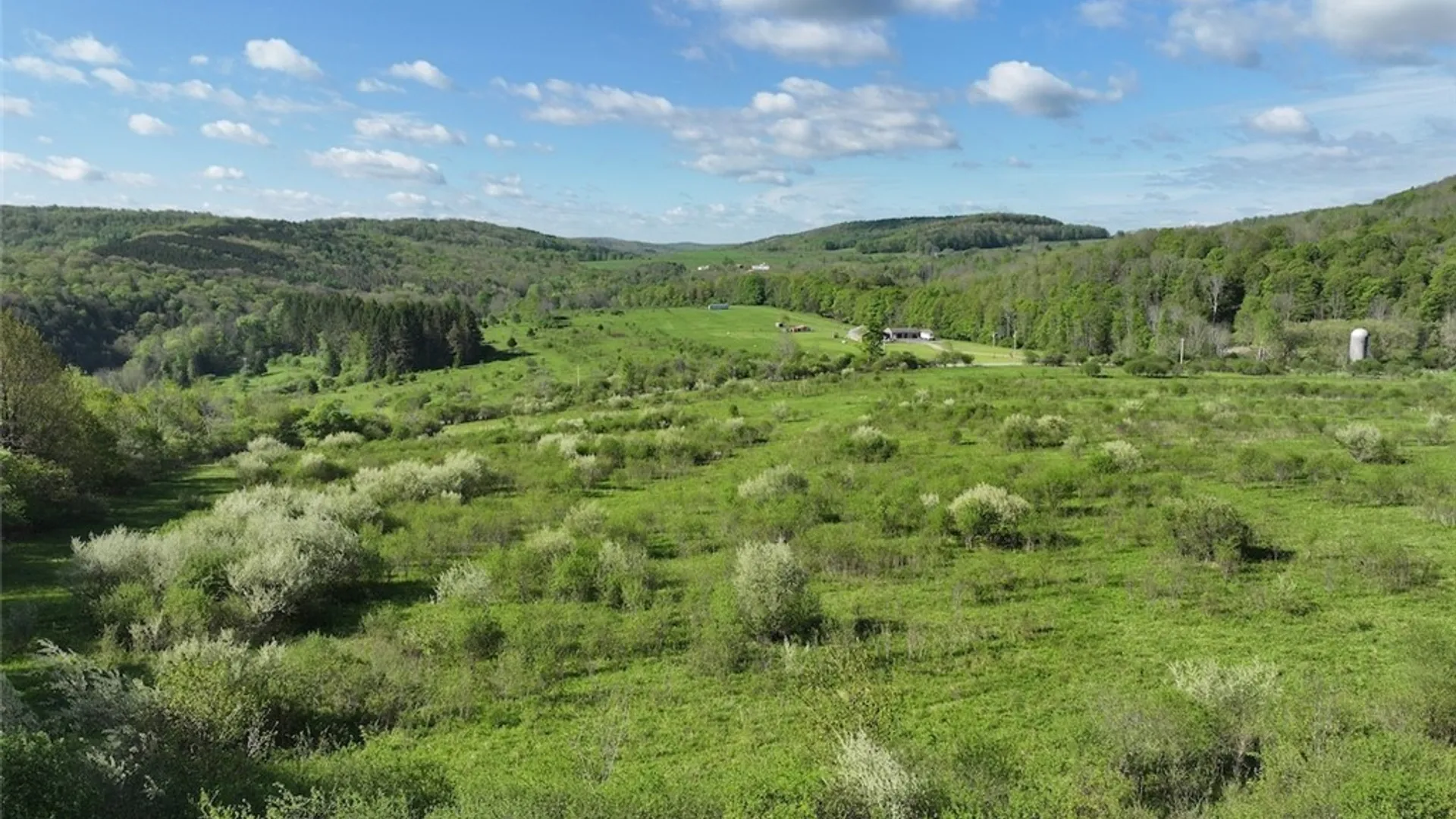 Property at Shaffer Road, Cuba, NY 14727 8