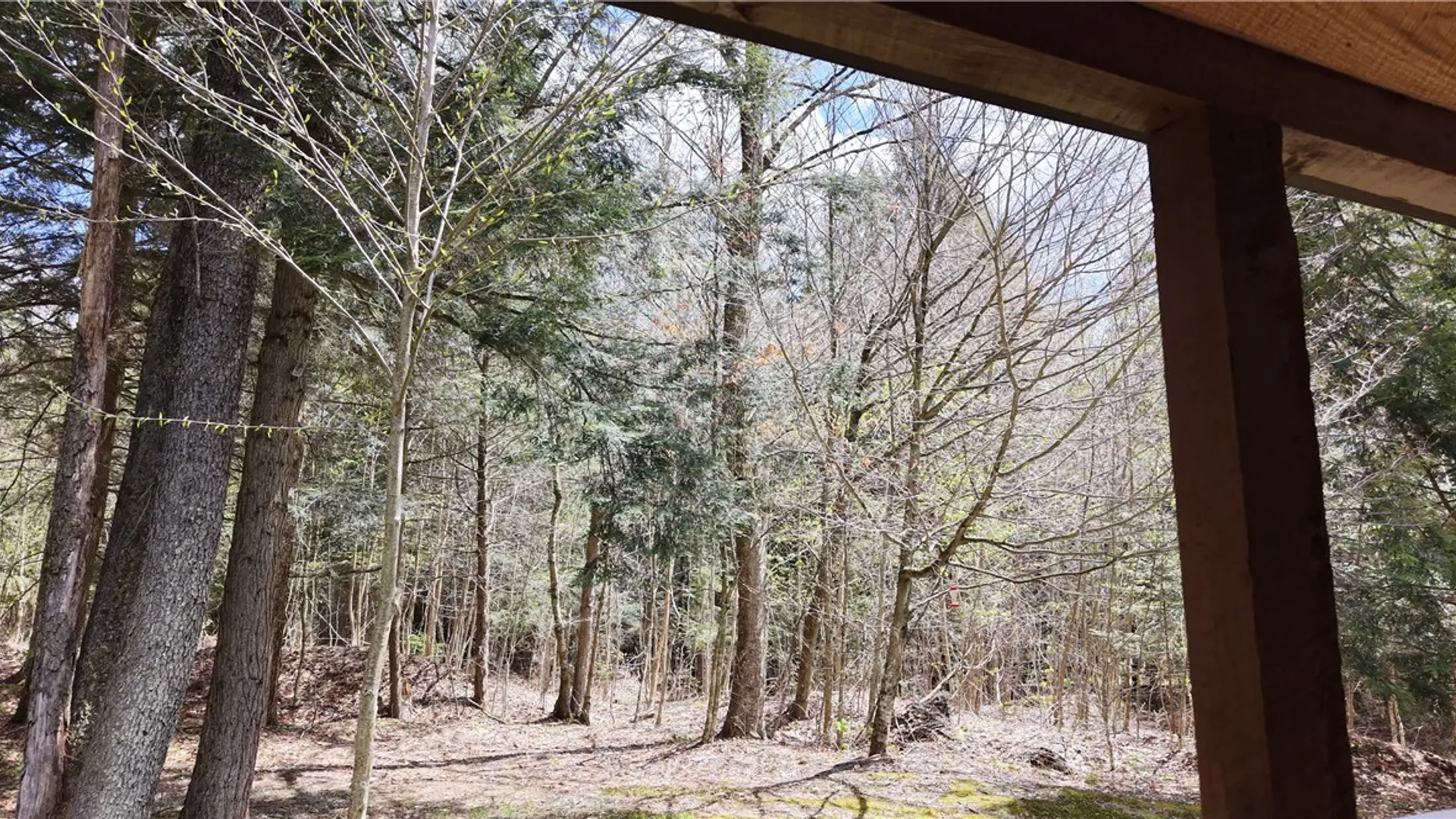 Property at ID# 141.-2-22 Hemlock Lane, German, NY 13040 37