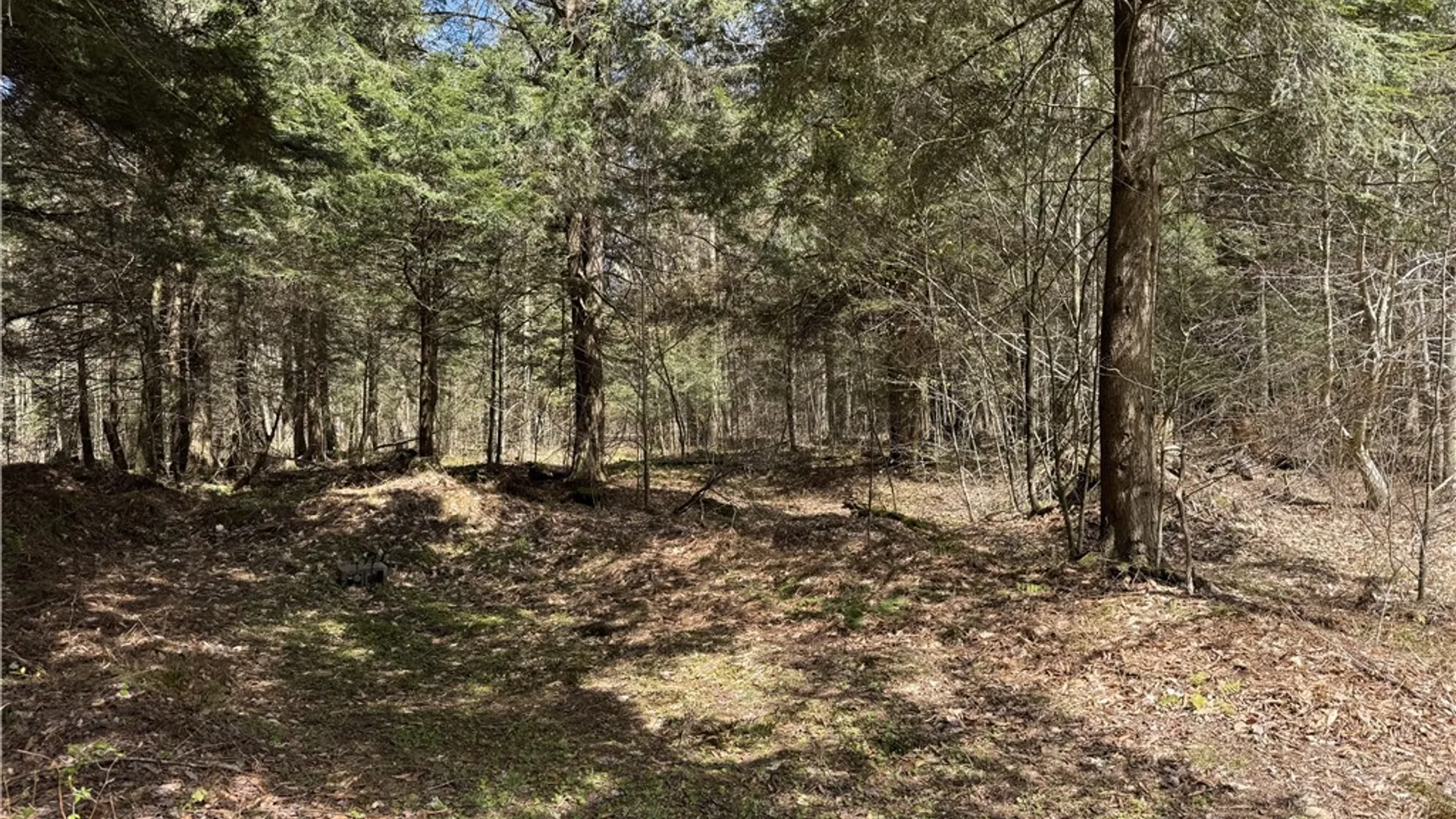 Property at ID# 141.-2-22 Hemlock Lane, German, NY 13040 38