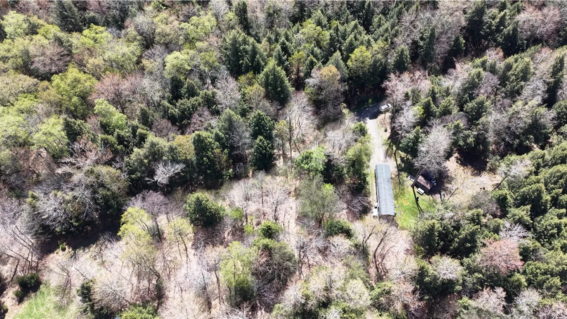 Property at ID# 141.-2-22 Hemlock Lane, German, NY 13040 40