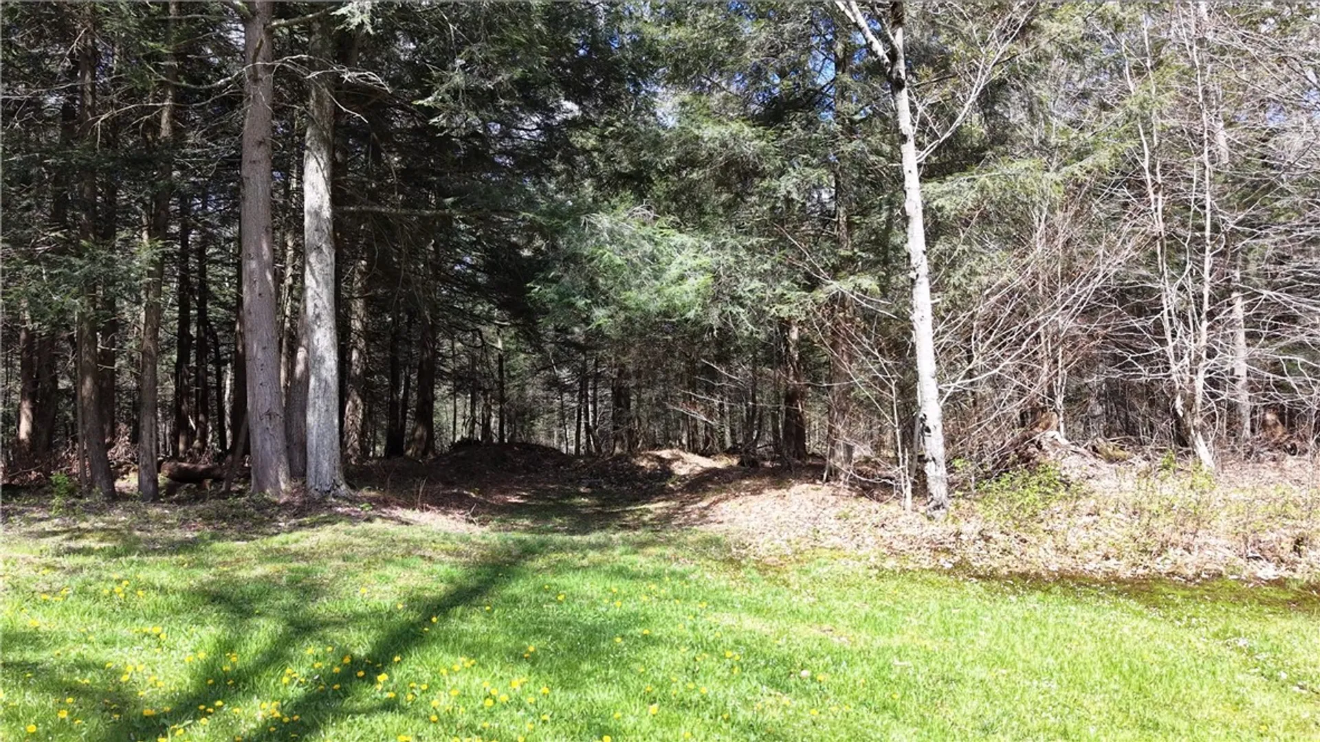 Property at ID# 141.-2-22 Hemlock Lane, German, NY 13040 42