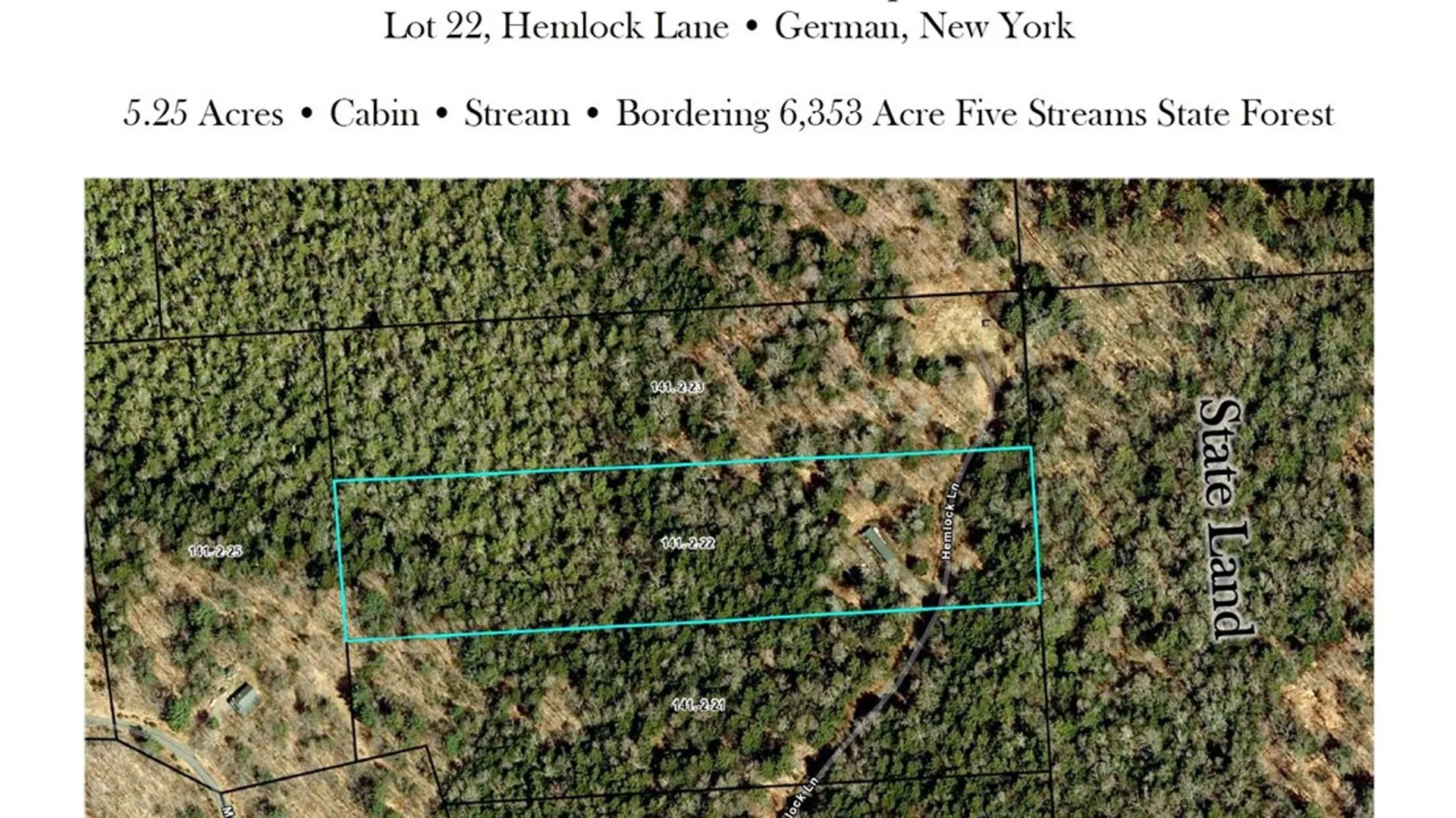 Property at ID# 141.-2-22 Hemlock Lane, German, NY 13040 43
