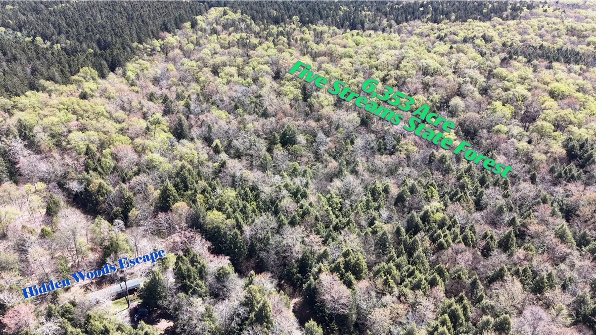 Property at ID# 141.-2-22 Hemlock Lane, German, NY 13040 8